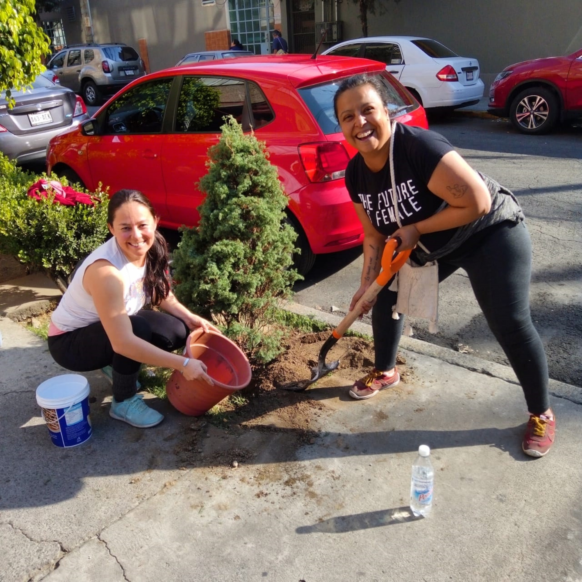 ¡No eches tu árbol a la basura!
