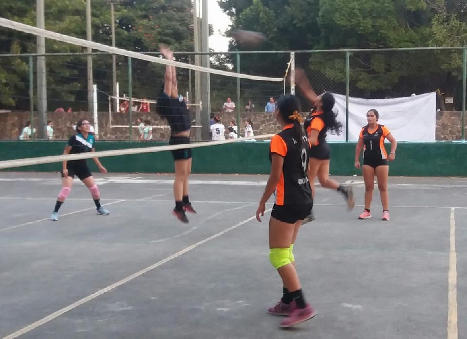 Regresa la actividad a la Liga Estudiantil de Voleibol