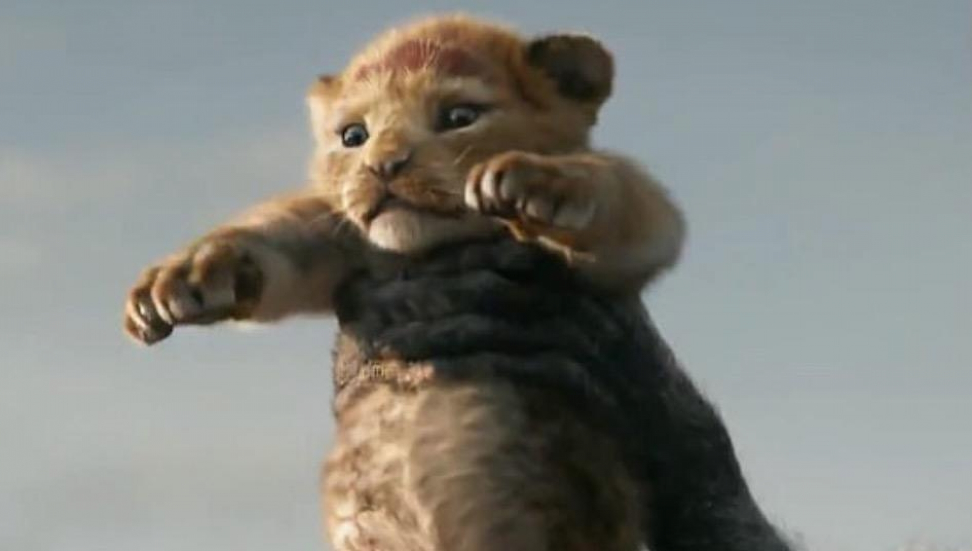 VIDEO: Llega primer trailer del live action de 'El Rey León'