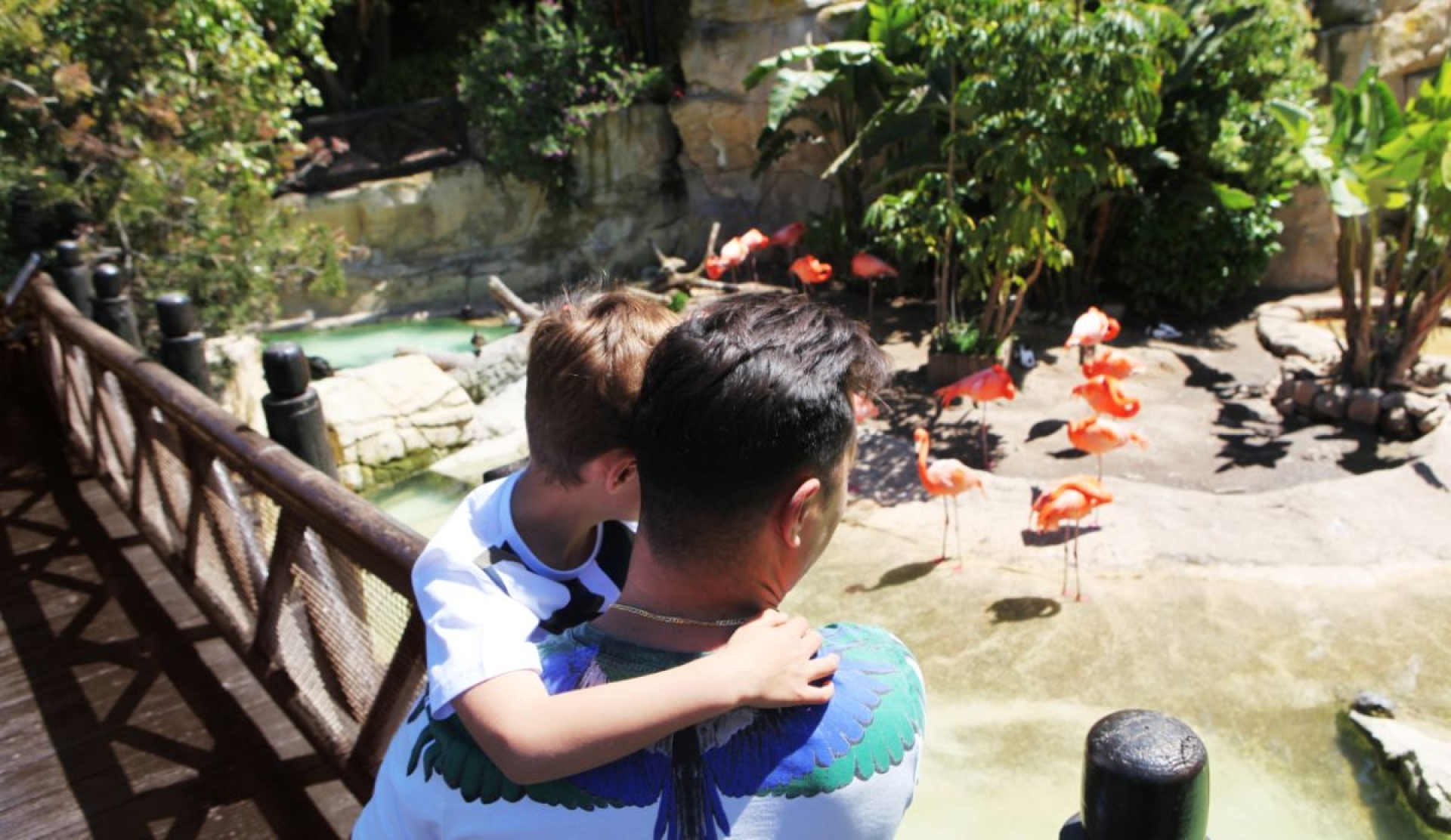 Actividades divertidas para disfrutar las vacaciones en familia sin salir de la ciudad