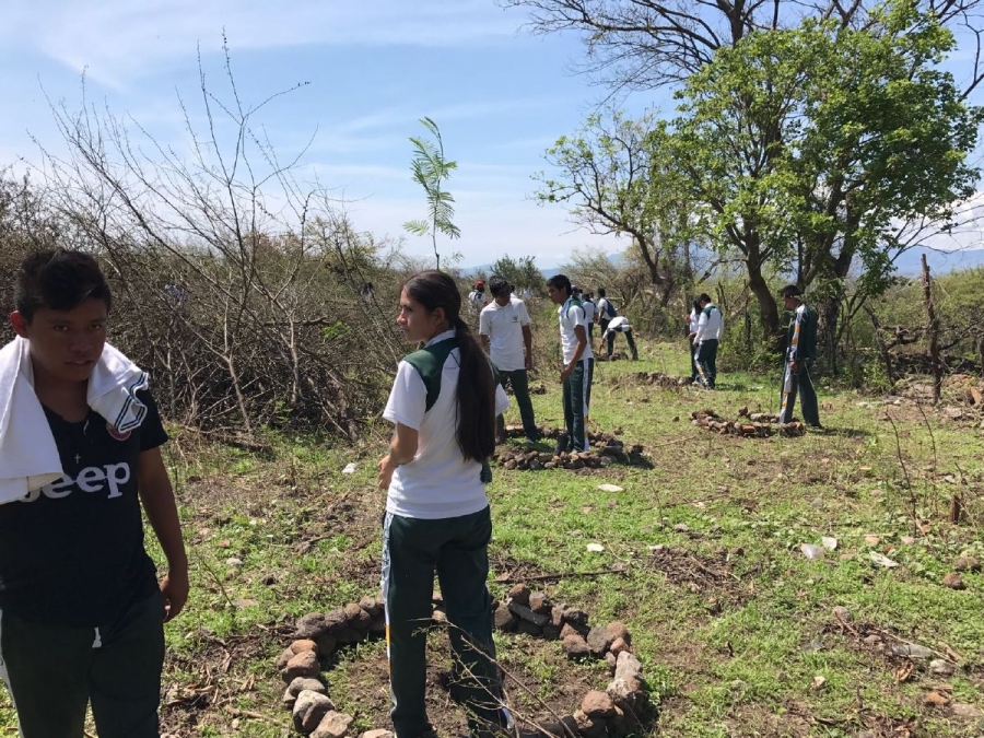 Plantarán alrededor de 200 árboles nativos en distintos puntos de Coatlán del Río