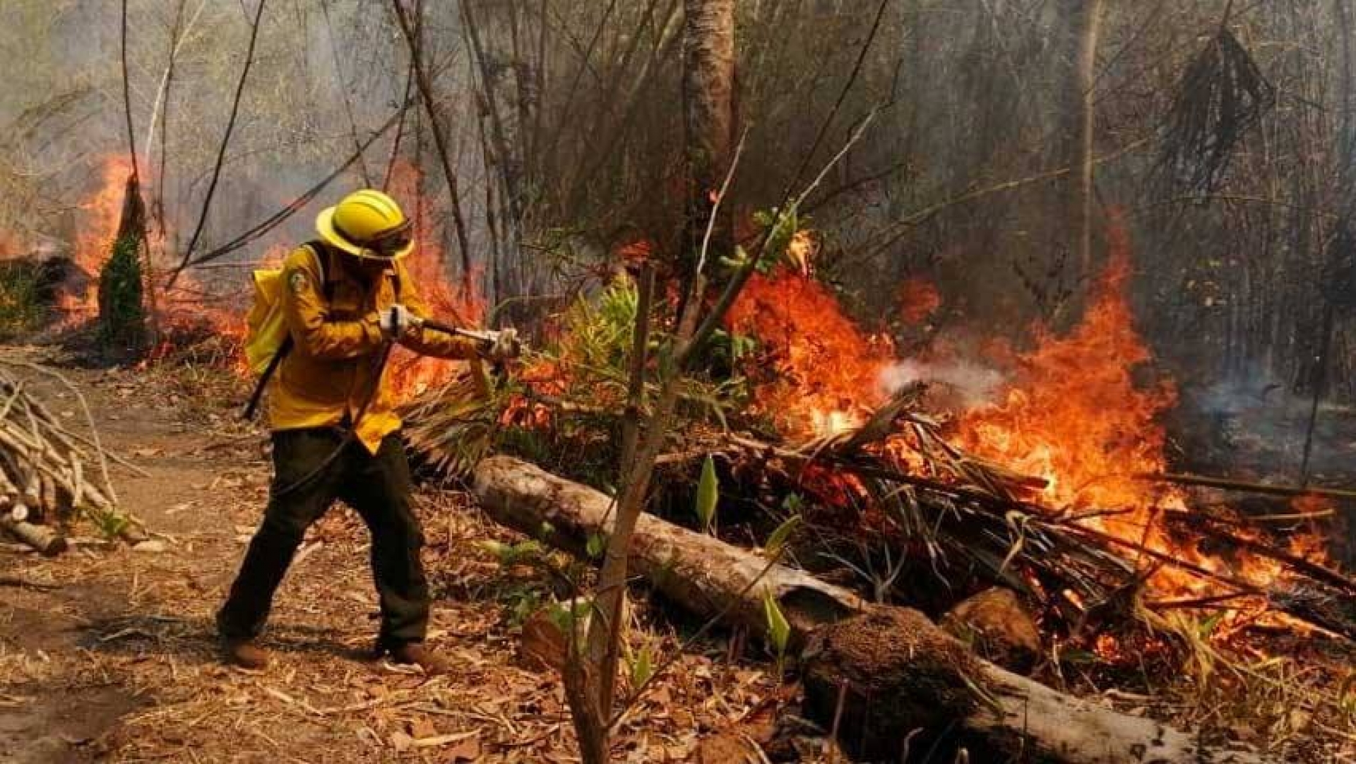 Se han registrado 38 incendios forestales