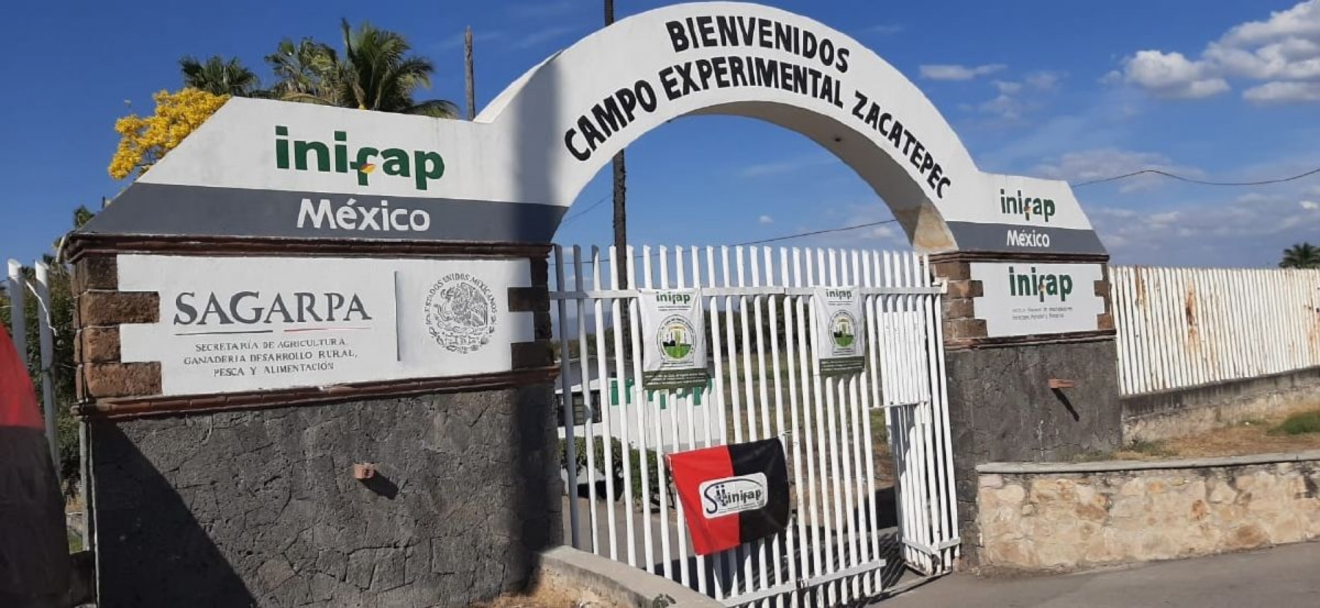 Mantienen huelga en el Campo Experimental del INIFAP de Zacatepec