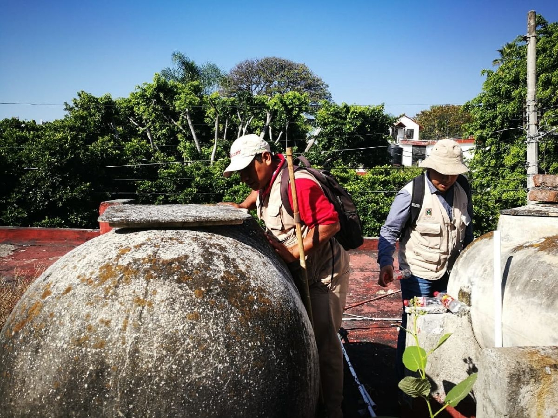 Reitera SSM llamado a eliminar criaderos de mosquitos