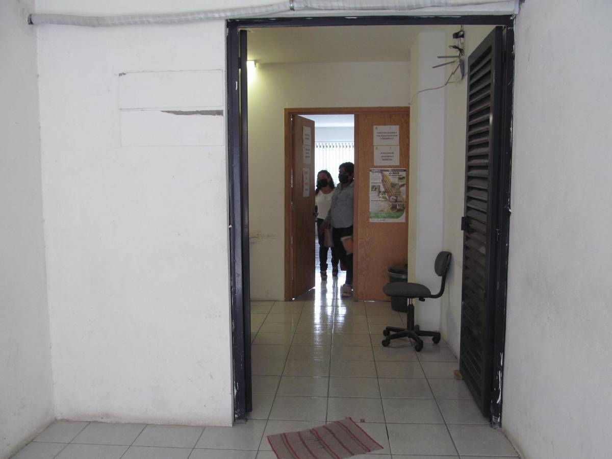 Orientarán a migrantes para regular su situación en México