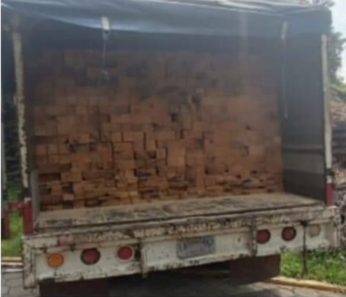 Transportaba madera sin documentación