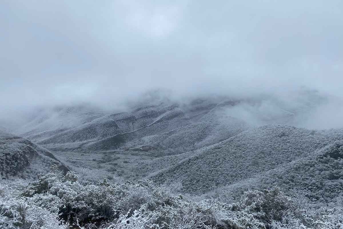 Prepara los guantes: efectos del frente frío 26 en México
