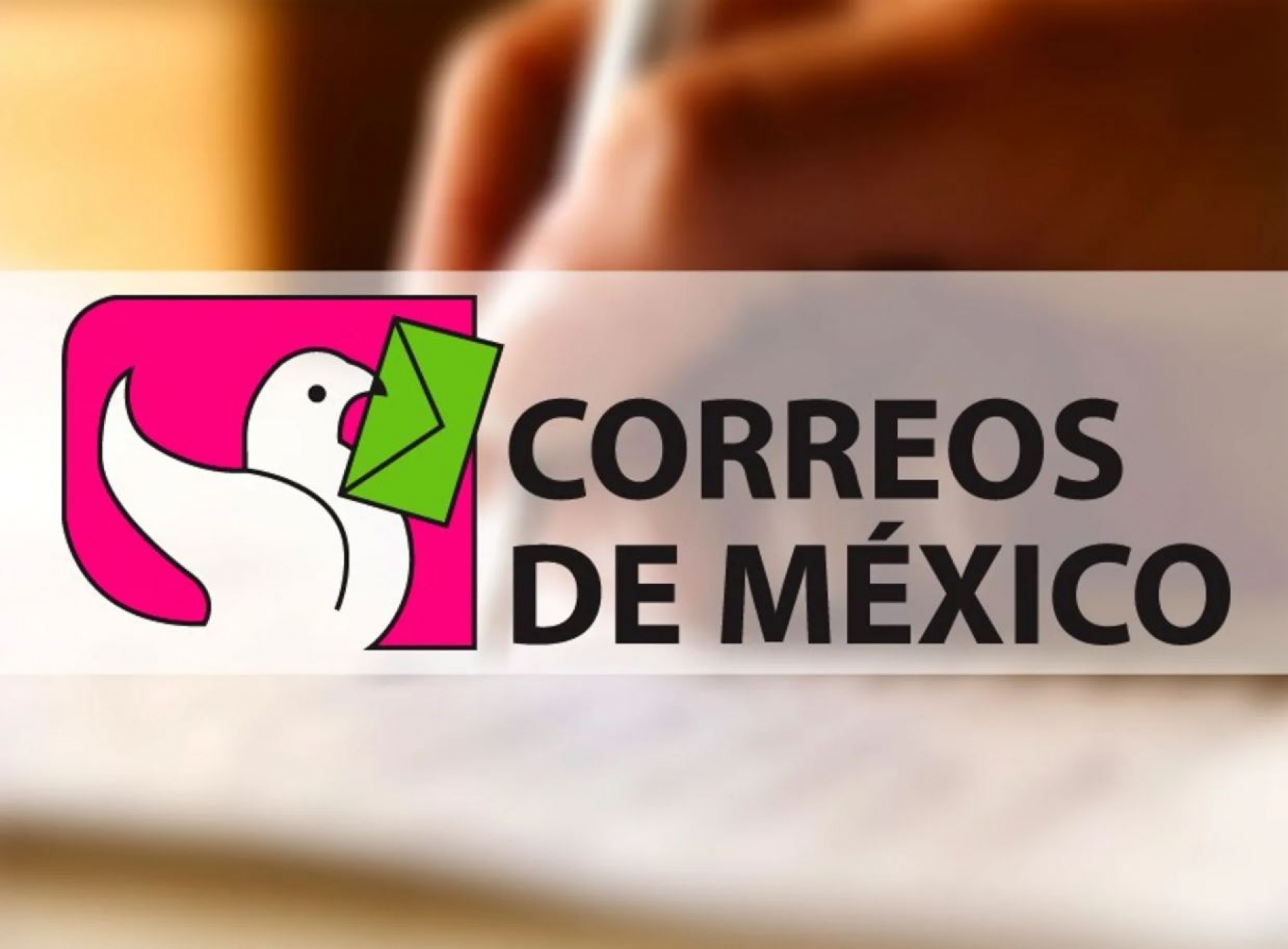 Libros por correo