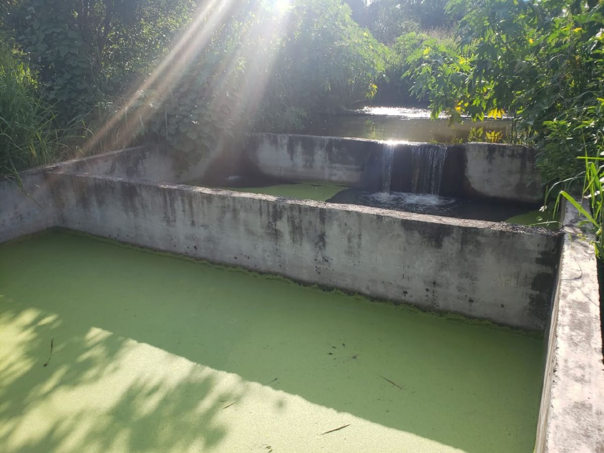 Contaminada, la red de agua potable de Miacatlán