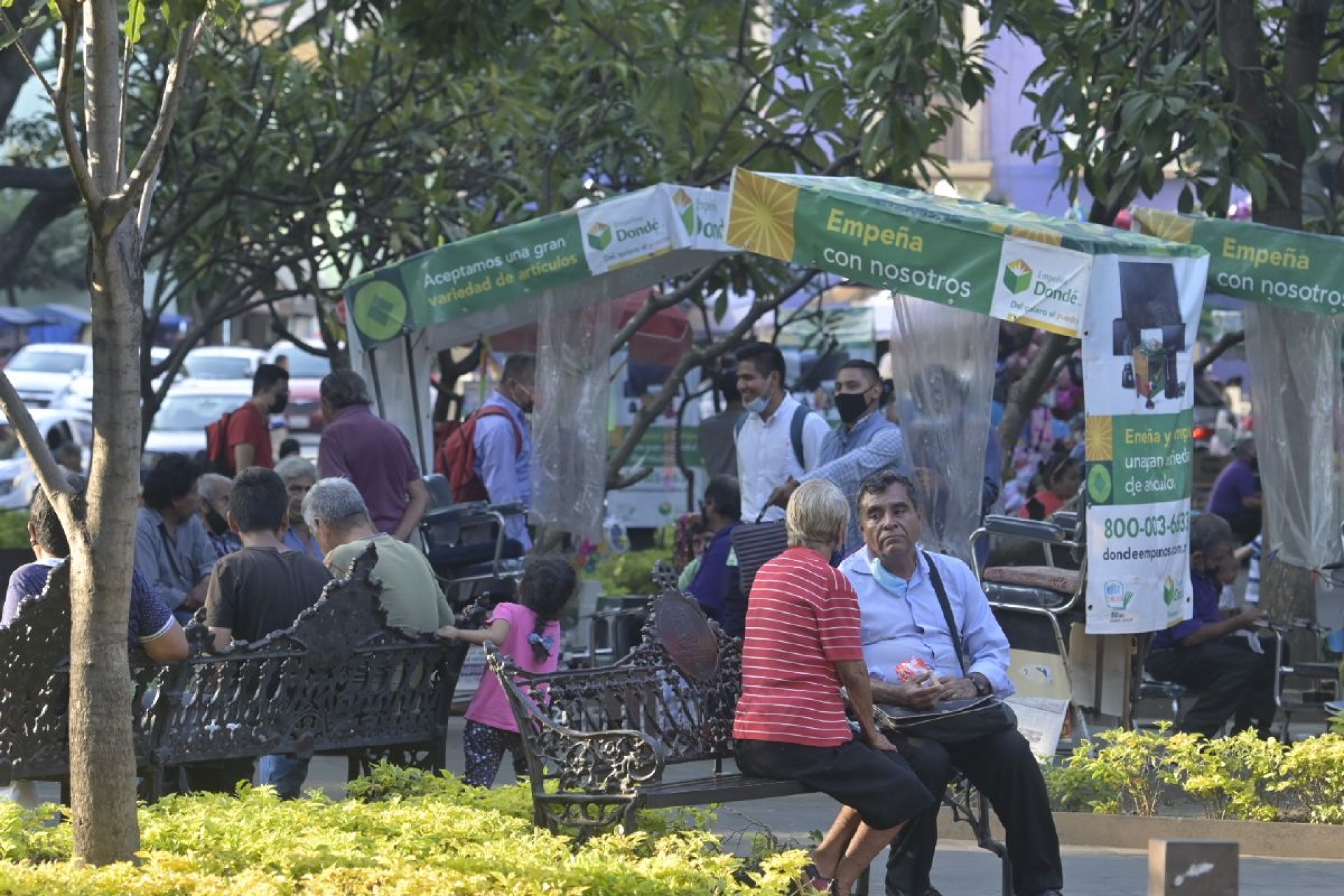 Lanza SDS convocatoria para integrar consejo de Ecozona