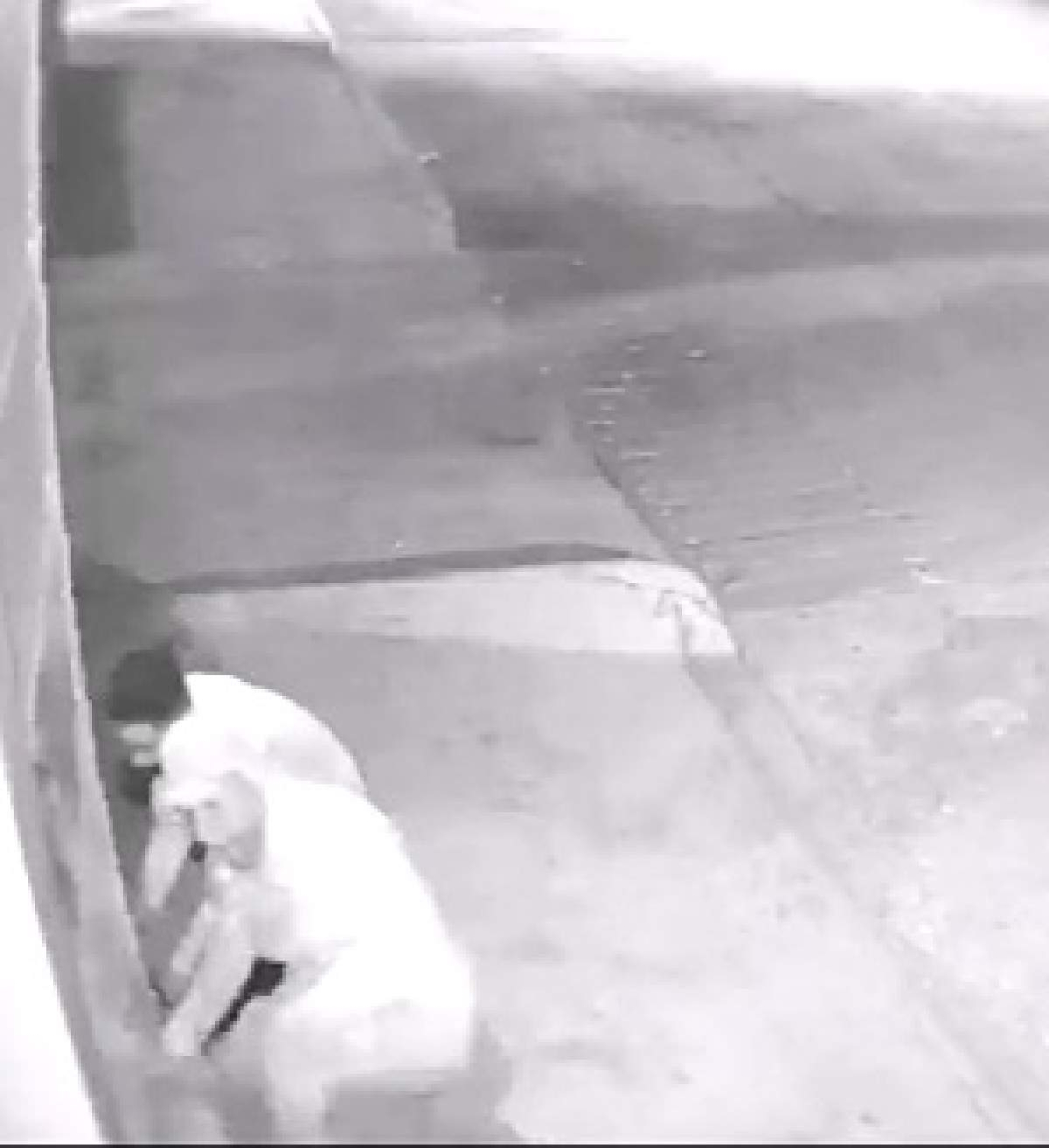 Captan en video a banda de robacasas en Ahuatepec