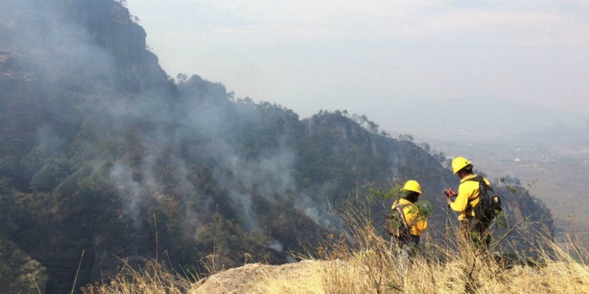 Señala SDS que incendio forestal en el paraje La Ventana está controlado al 60 por ciento