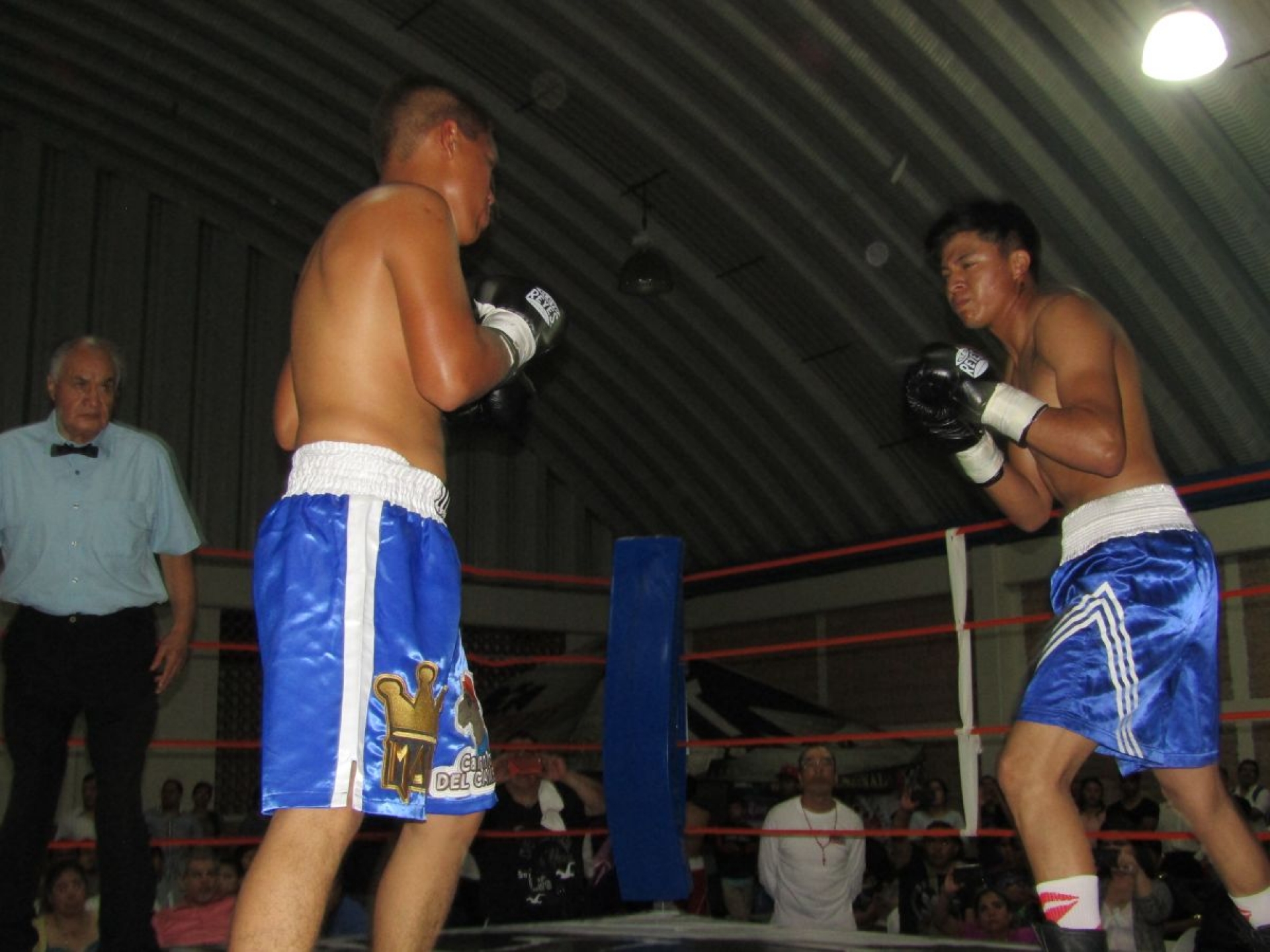 Vienen por la revancha
