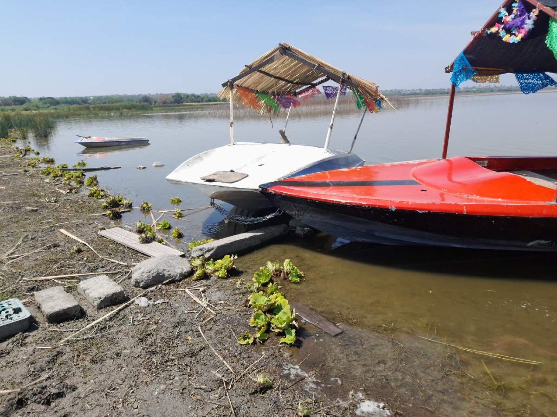 Laguna de Coatetelco registra 30% de su capacidad