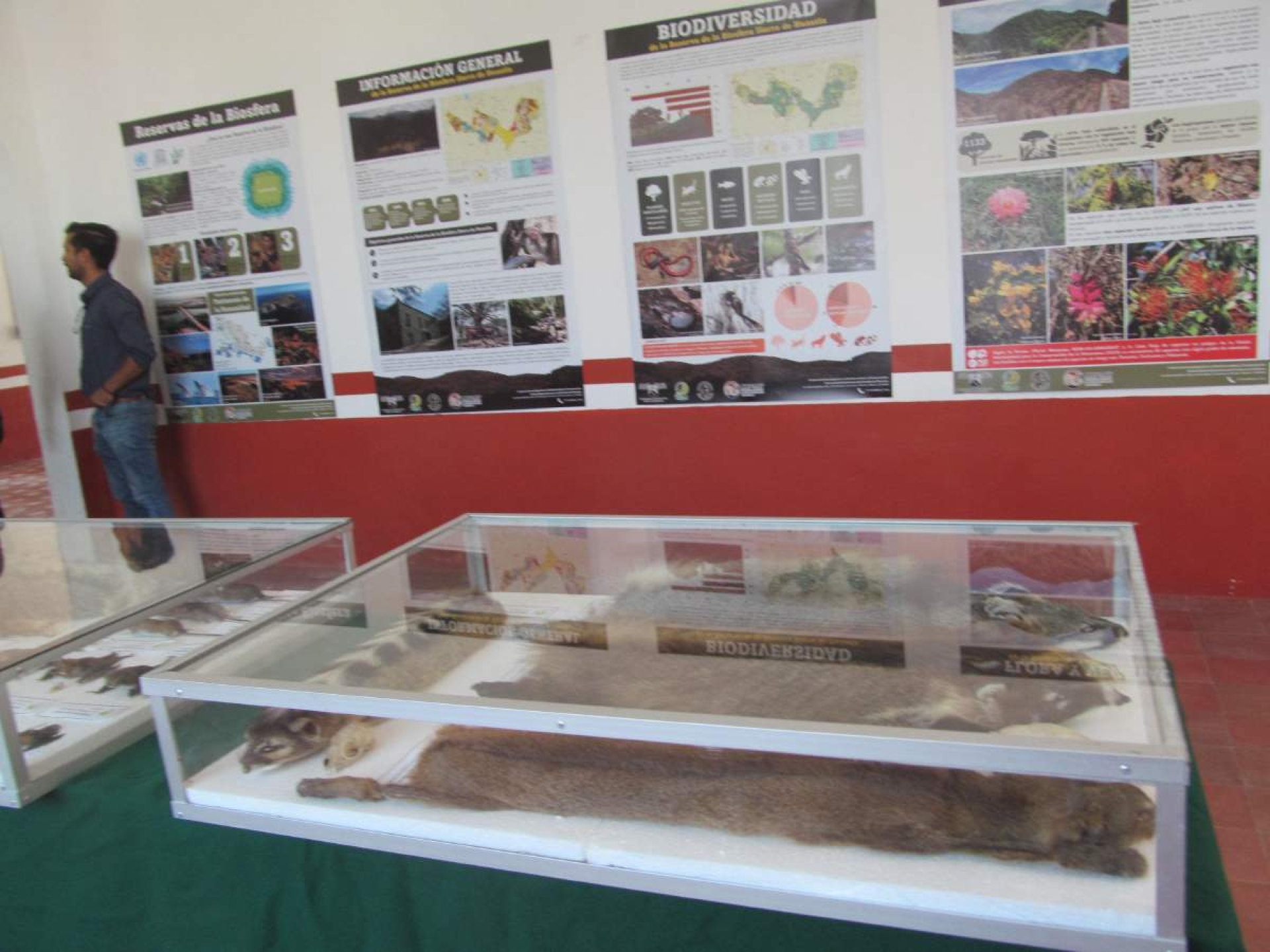 Abren exposición de la reserva de la biósfera Sierra de Huautla