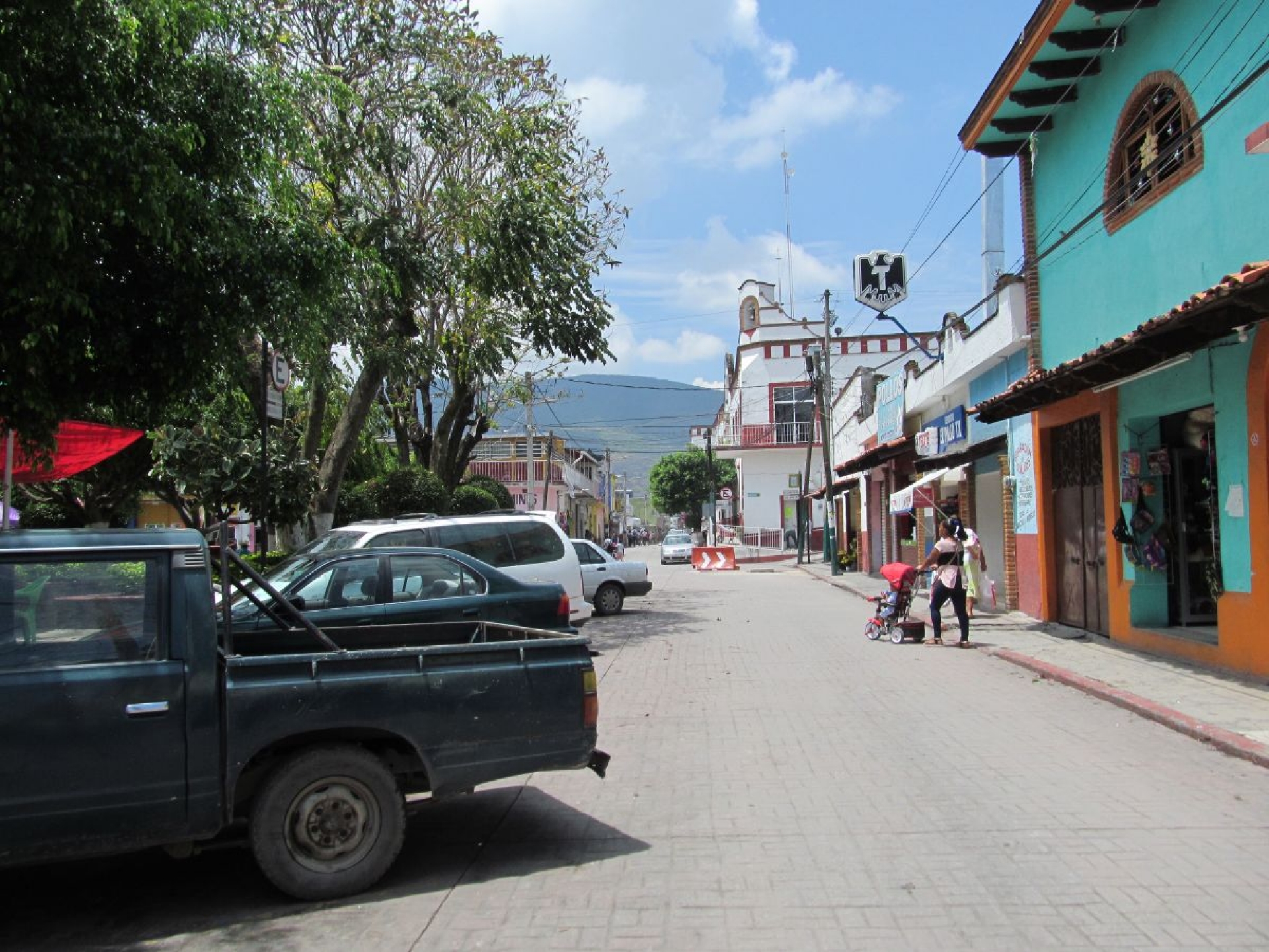 Eligen colonia de Tlaltizapán para implementar proyecto nacional de eliminación de pulgas y garrapatas