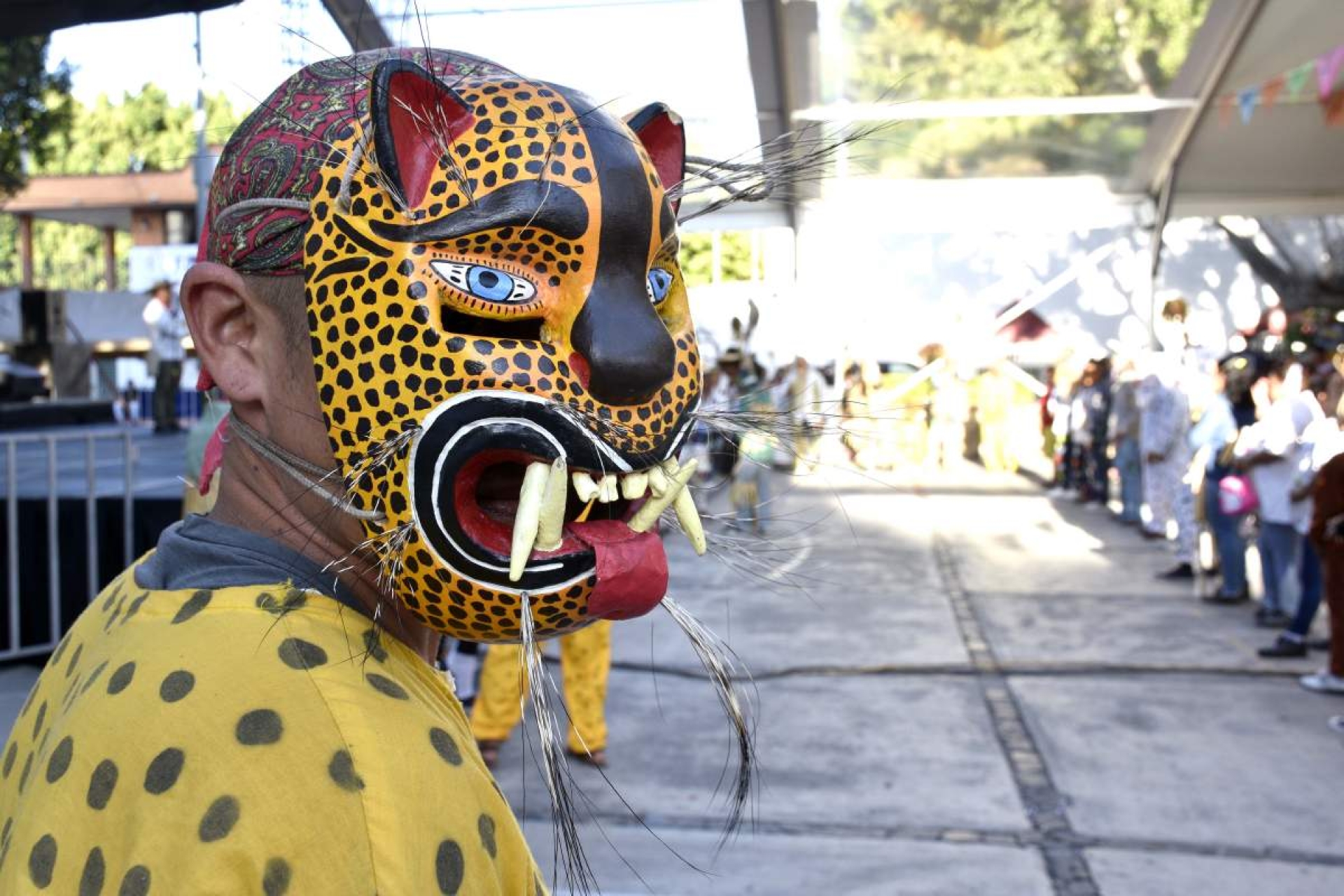 Invitan a asistir al Encuentro Nacional de Tecuanes