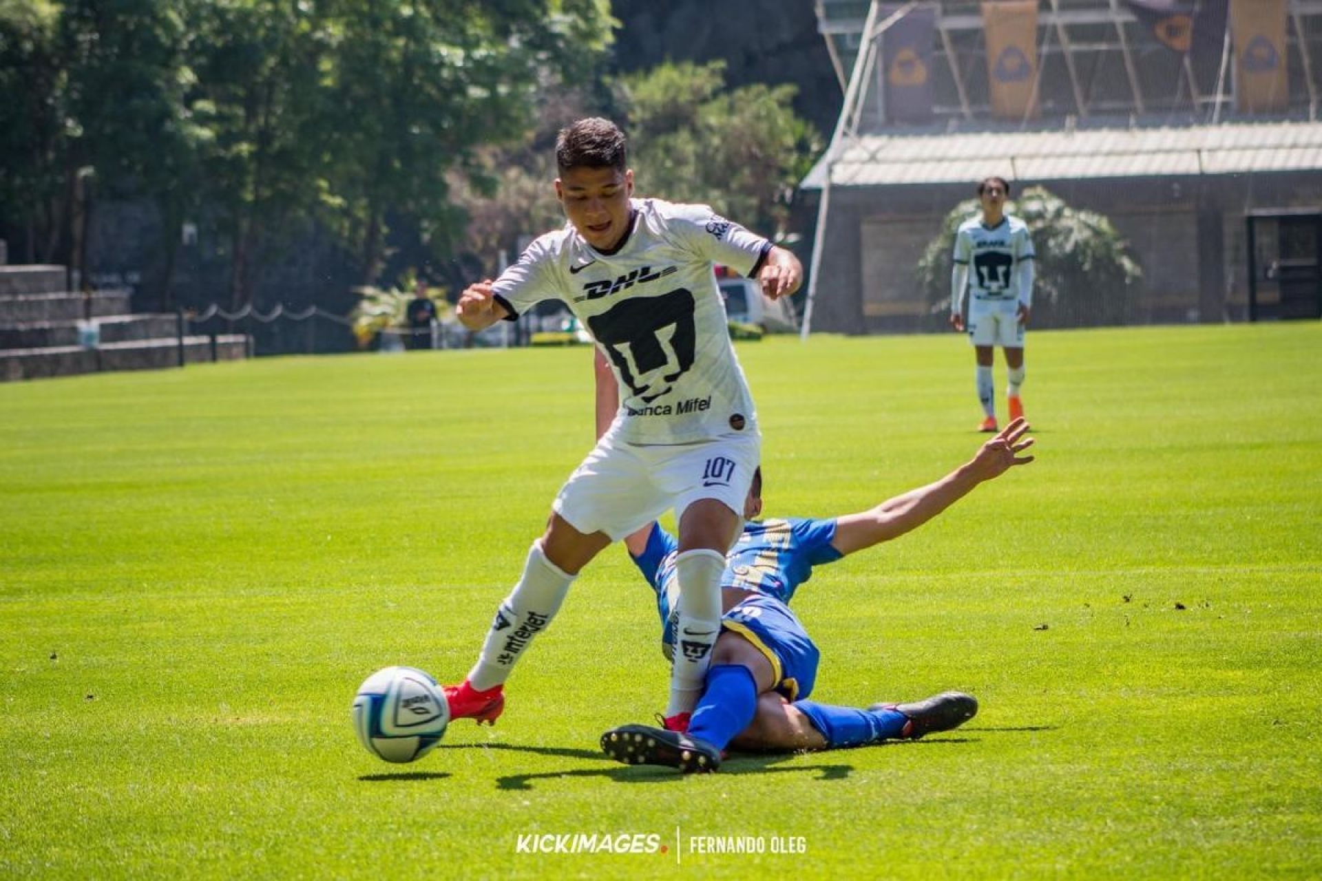 A la Liga de Expansión