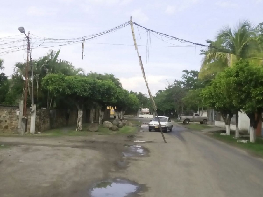 Vecinos piden retiro de un tronco sobre la carretera Tehuixtla- Puente de Ixtla