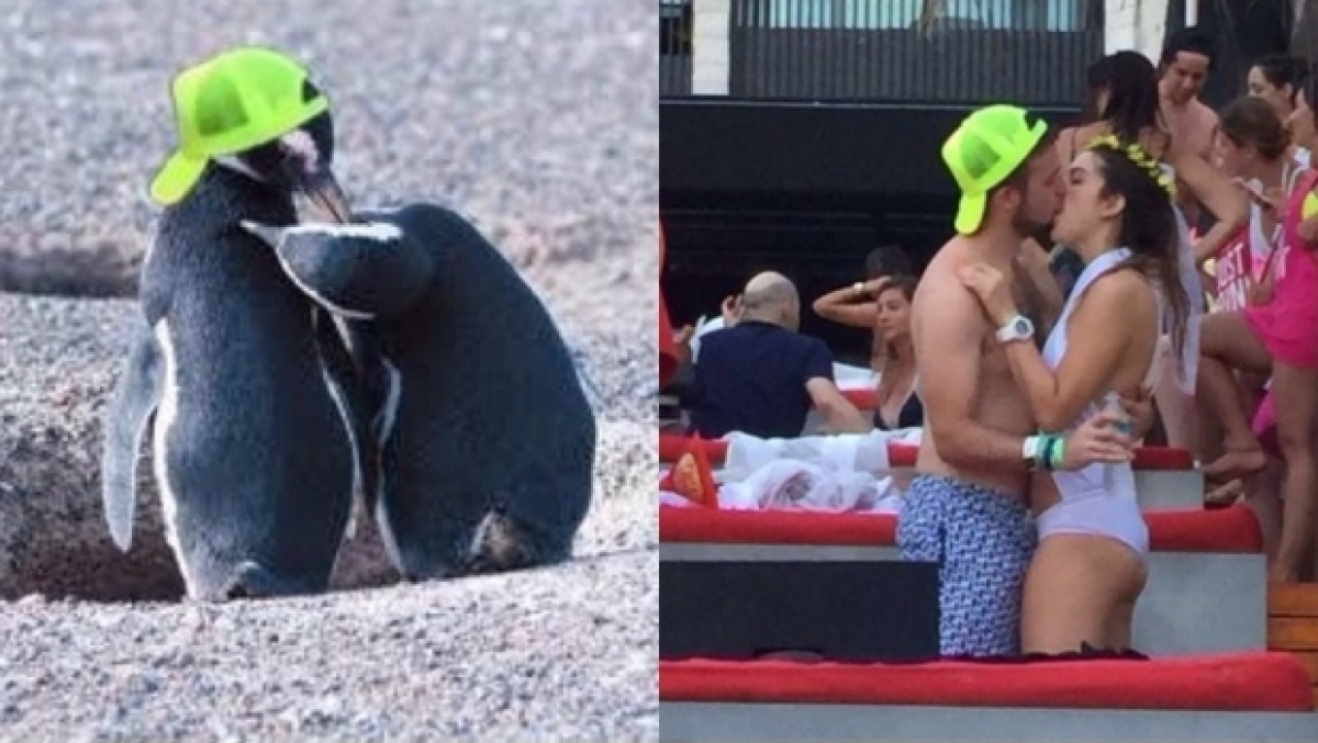 'Infidelidad' de #LadyPingüina se viraliza en la red