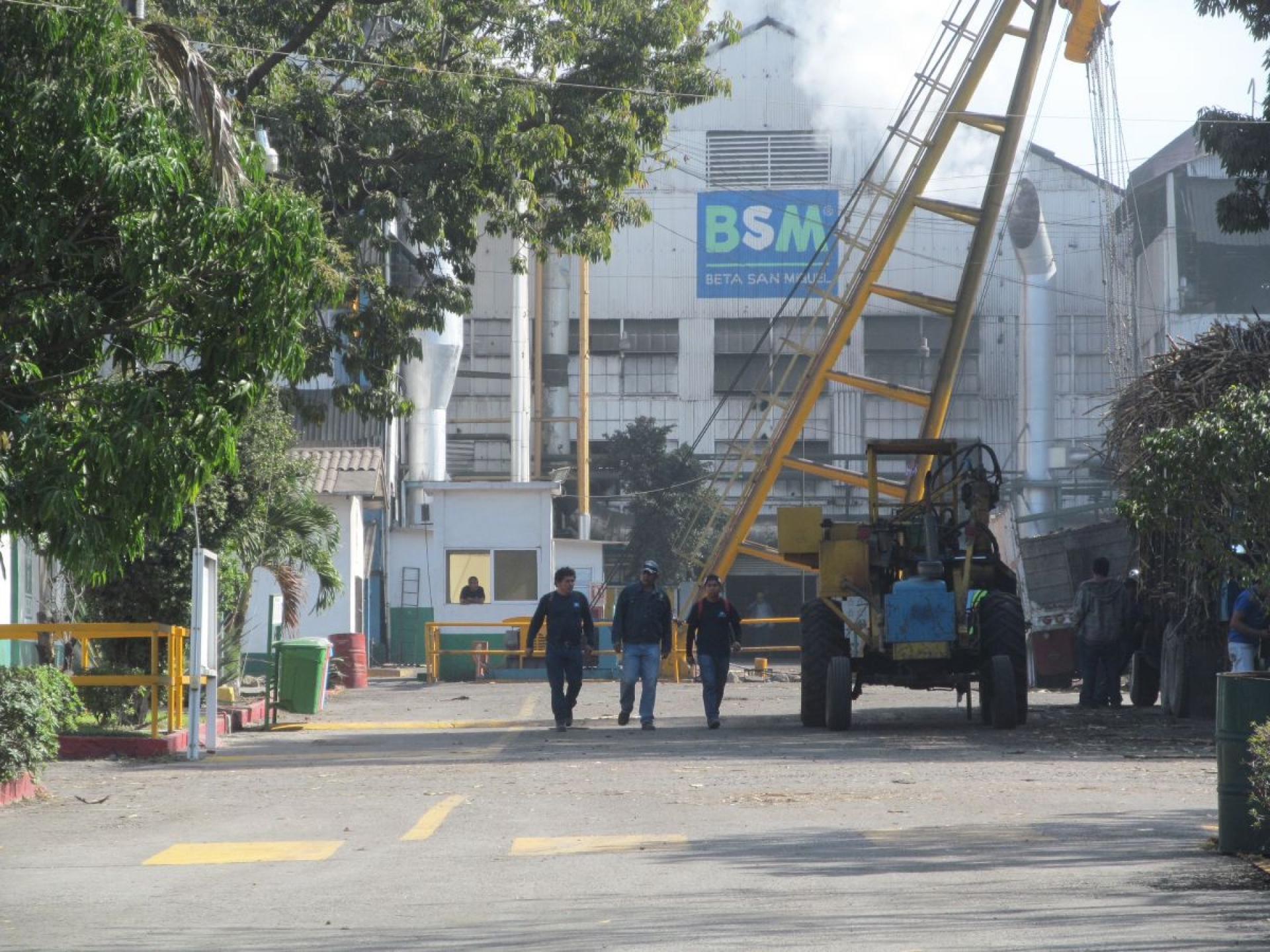 Bajará más de 7% el volumen de caña a procesar en el IEZ