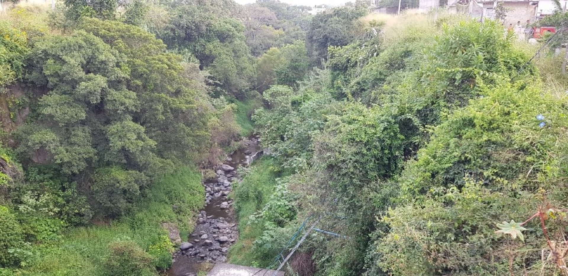 Cayó a una barranca; lo rescató personal de Cruz Roja