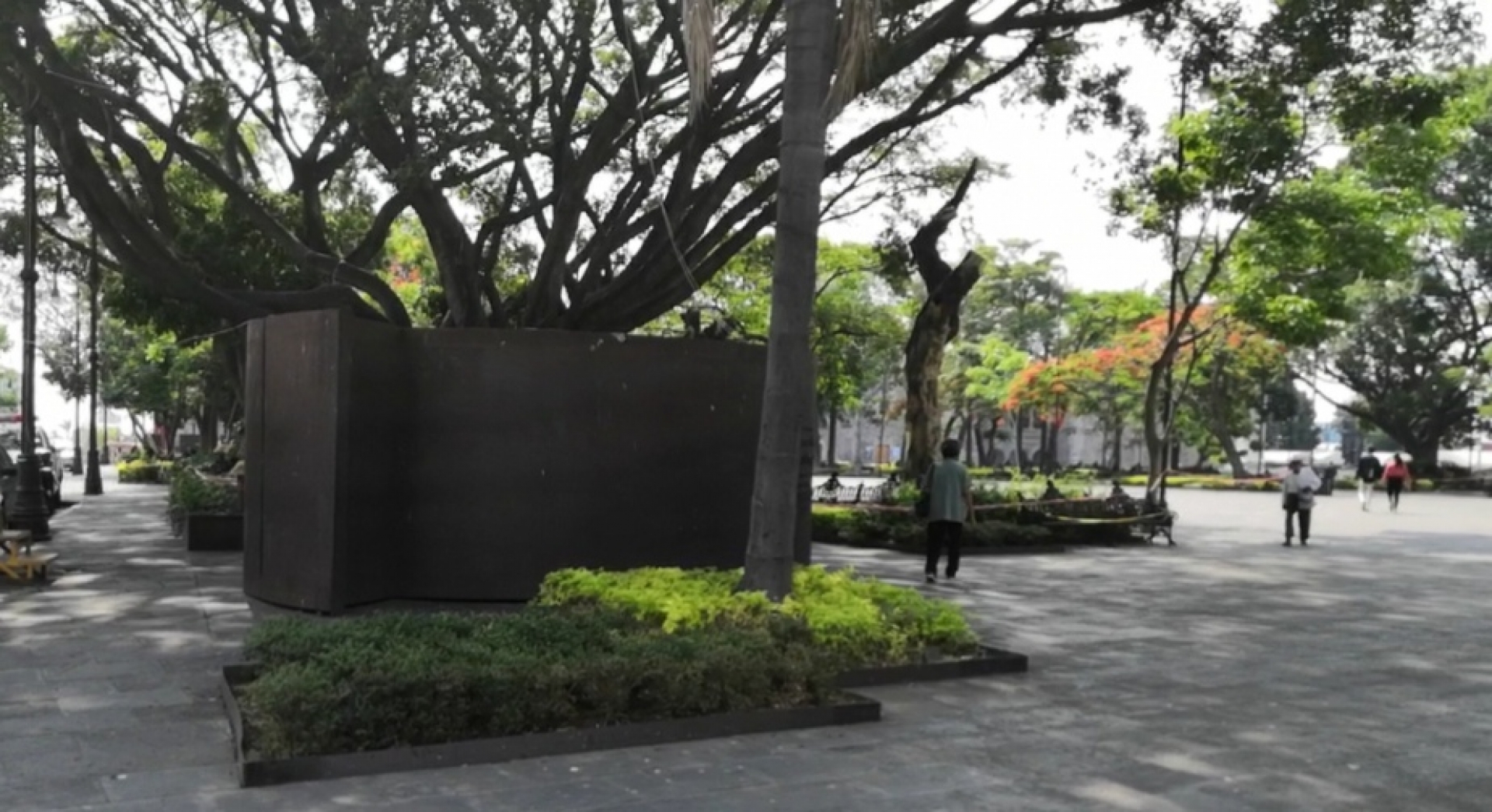 Reducen en un 80% el número de roedores en la plaza de armas de Cuernavaca
