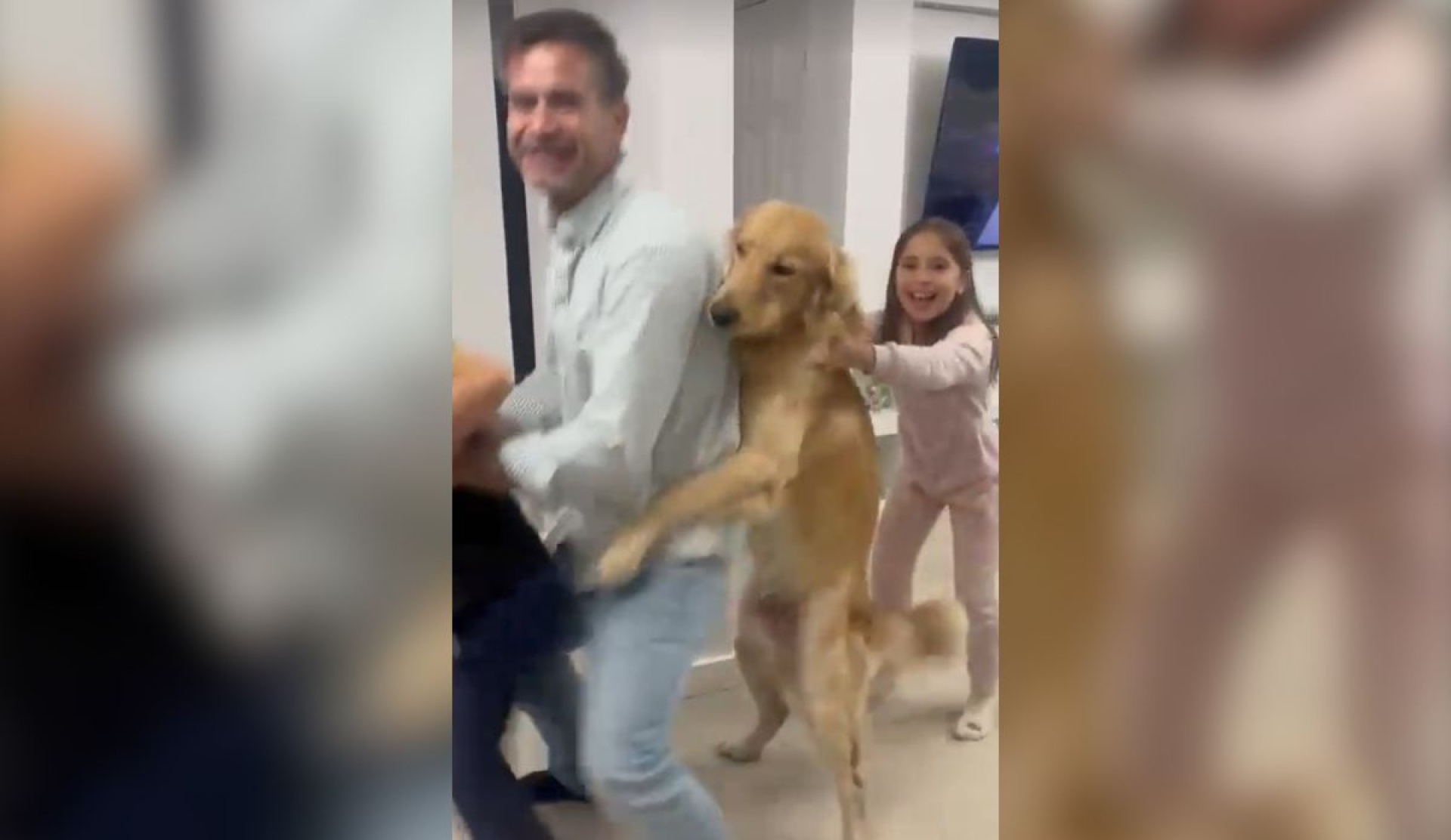 Golden retriever se une al baile familiar y se vuelve viral en redes sociales