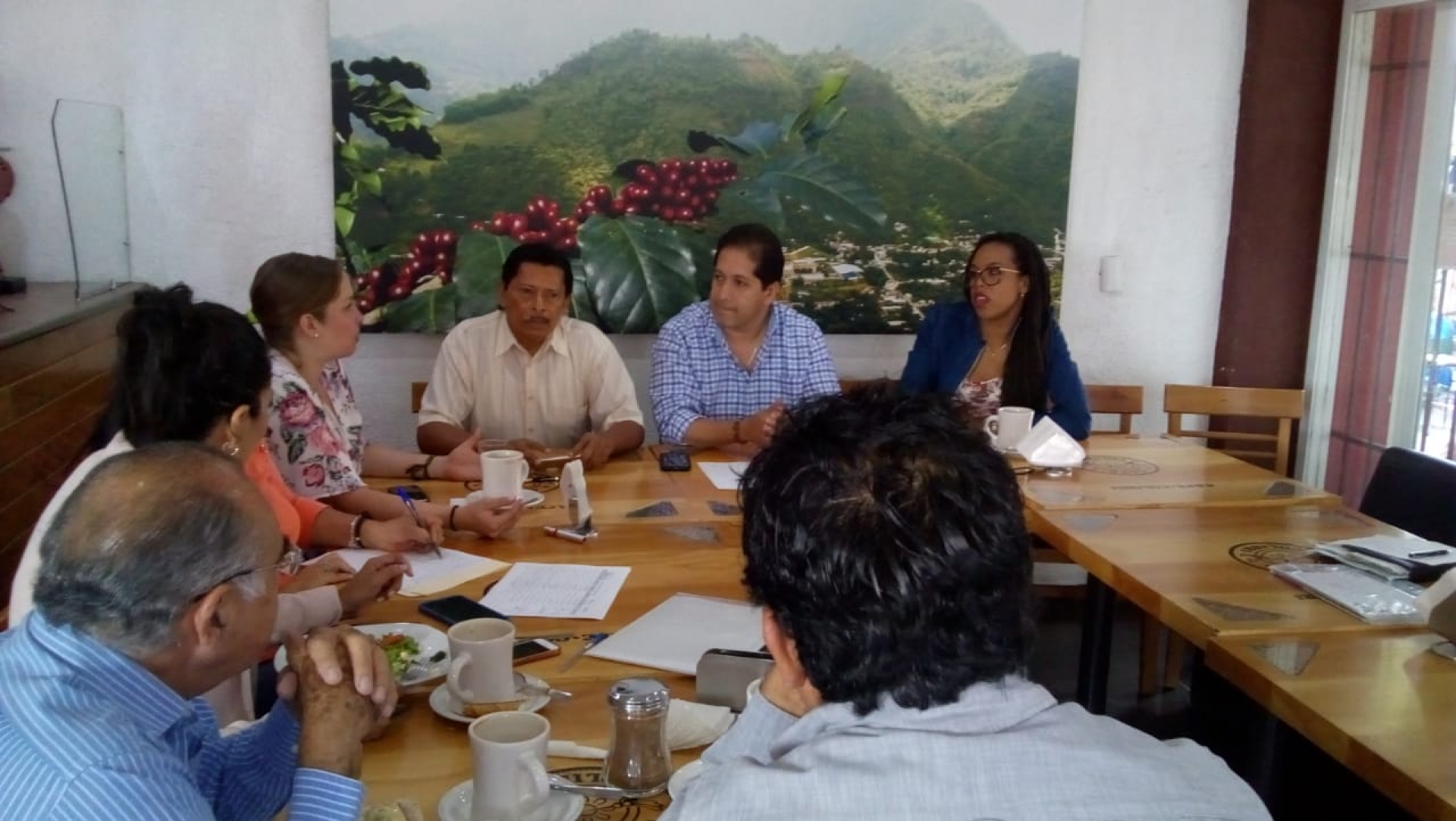 Comerciantes afirman que proyecto de 'ecozona' fracasó