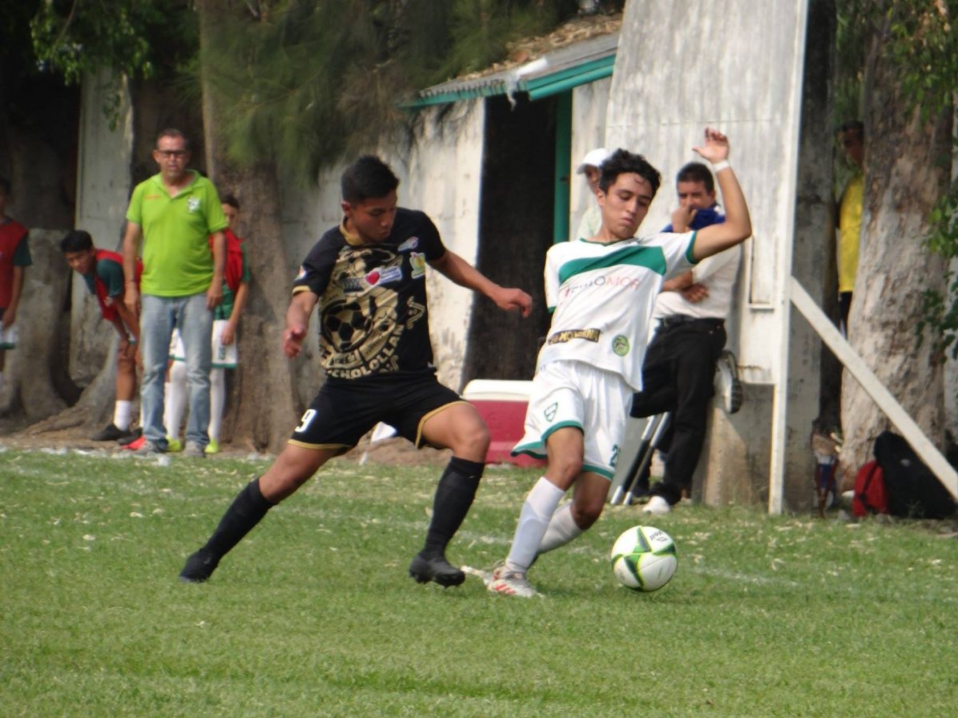 Selva Cañera pierde en la última jornada de la Tercera División