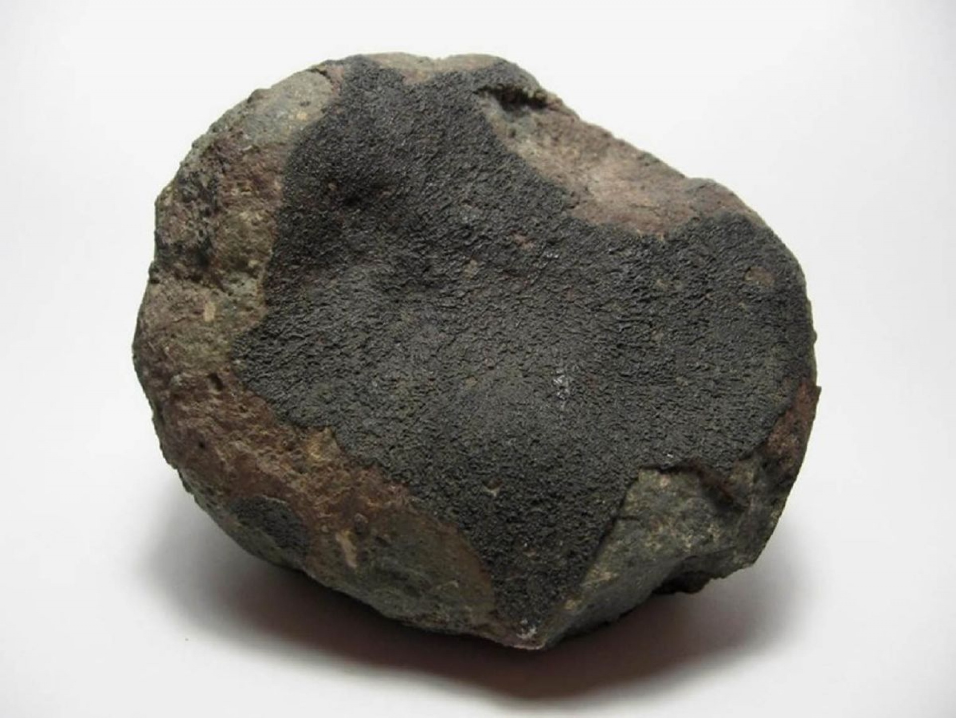 La meteorita Allende cumple 50 años de haber caído en México, y el IGL, 90 de pertenecer a la UNAM.