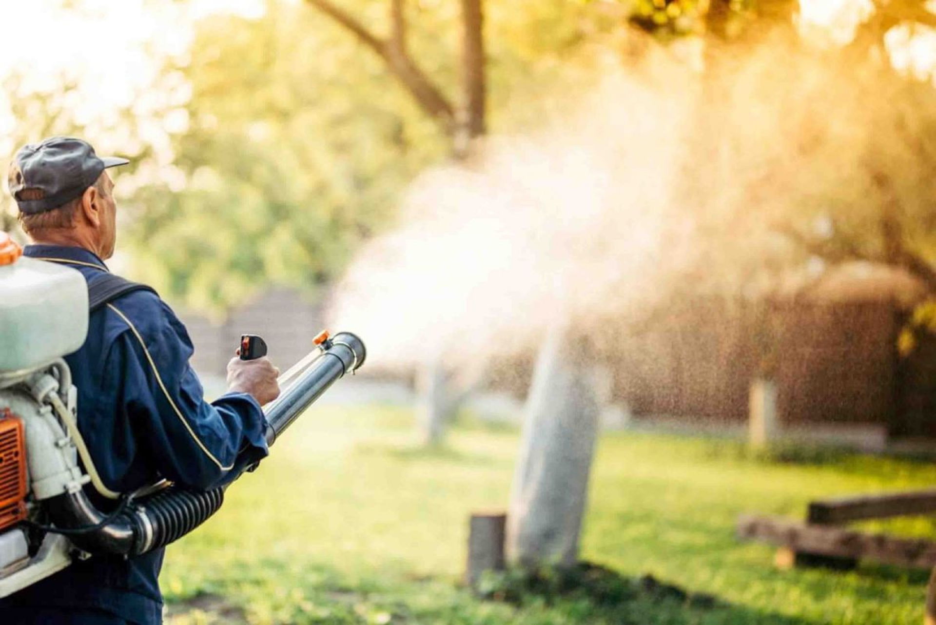 Combaten brigadas dengue en Cuautla