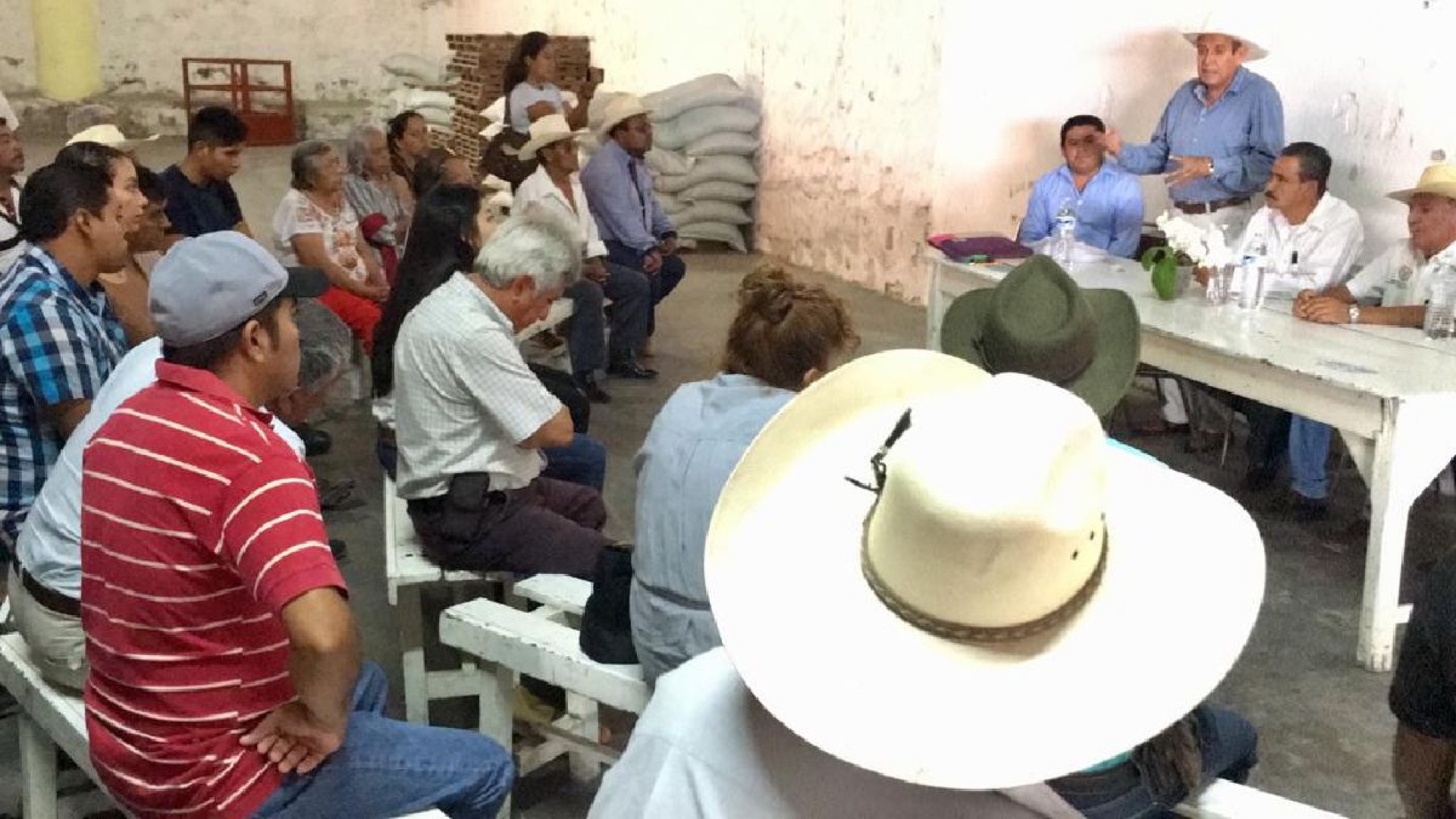 Falta de estímulos provoca caída en la producción de arroz