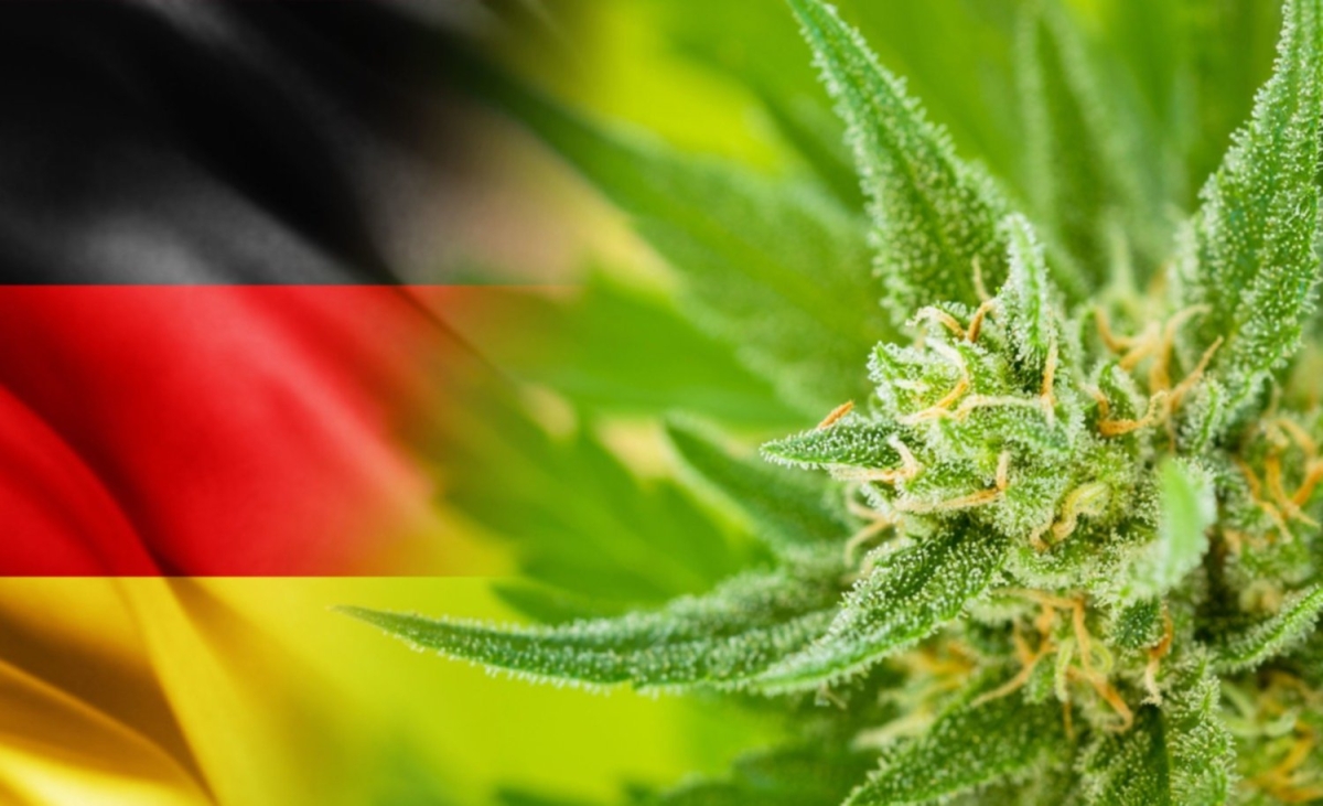 Gabinete alemán aprueba 'legalización controlada' de marihuana