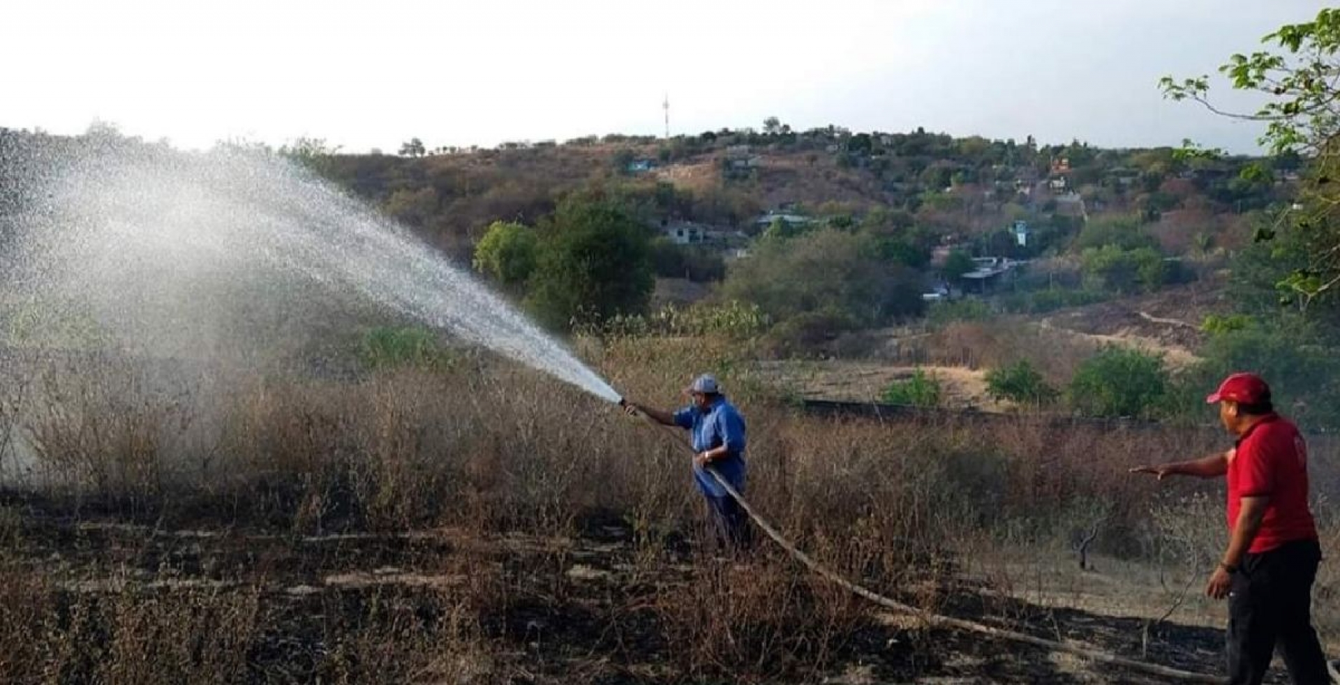 Persisten los incendios forestales en Amacuzac