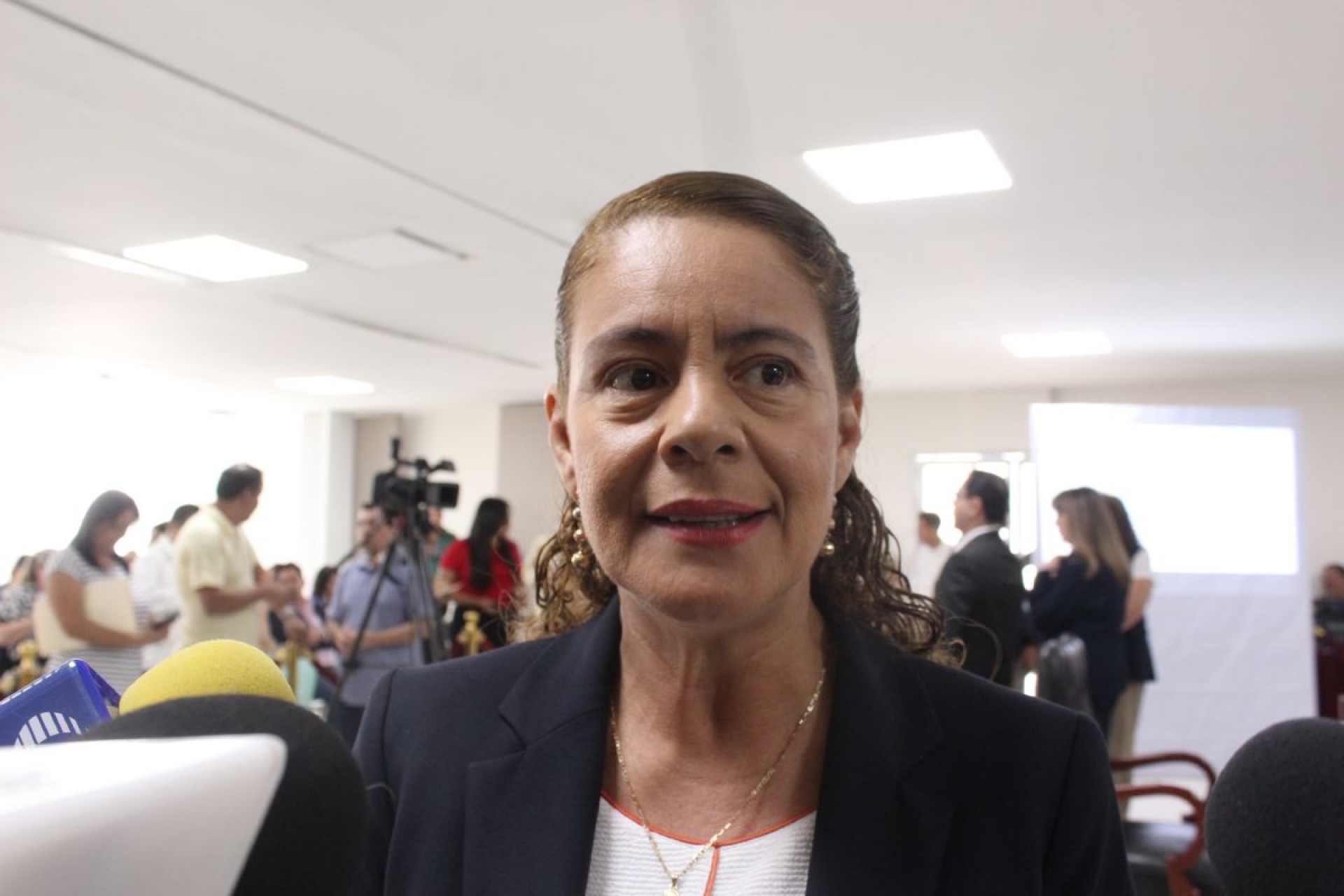 Piden no “desviar” recursos para compra de cámaras