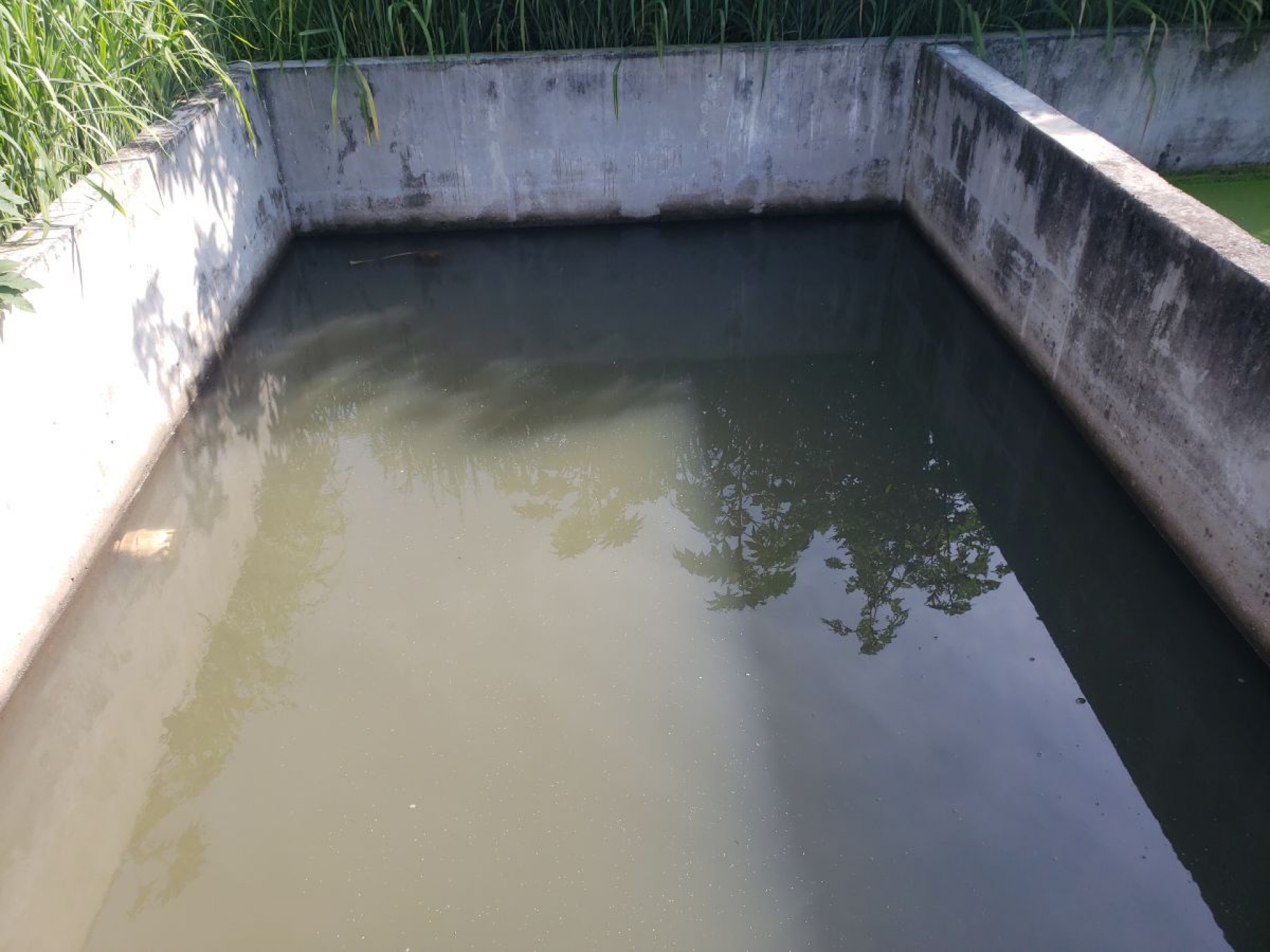 Vecinos de Miacatlán piden agua potable