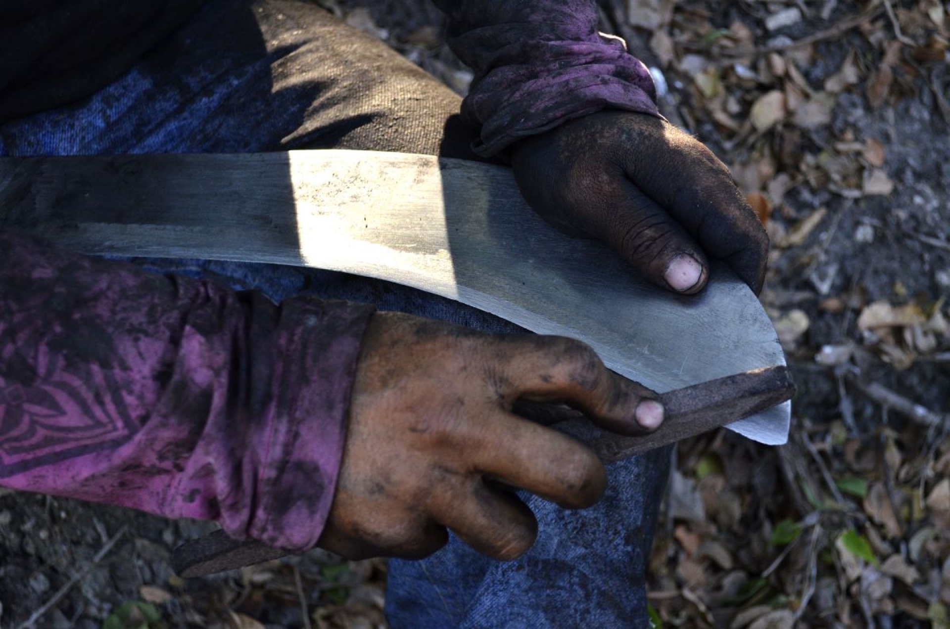Guayo, el cobrador