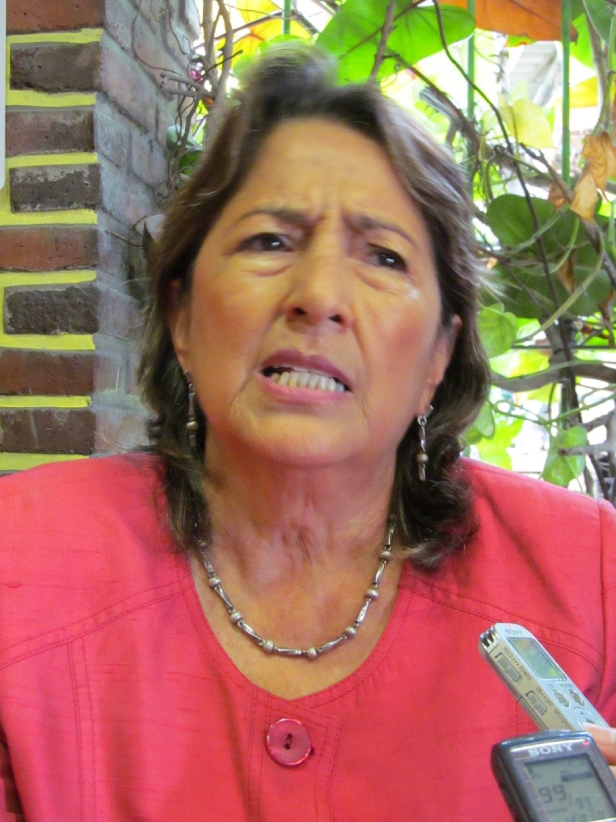 Sin fecha para primera sesión del Consejo Consultivo Ciudadano de Jojutla