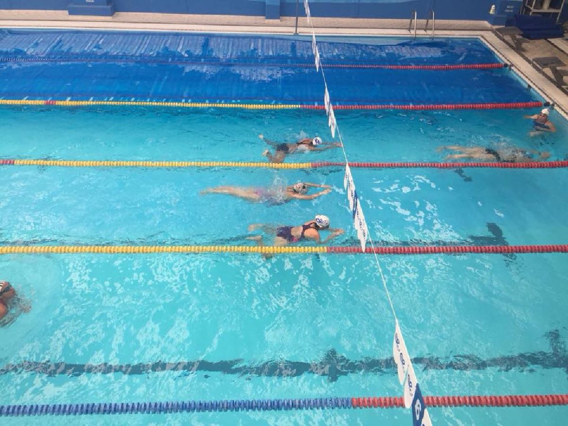 Buscan nuevos talentos en la natación de Morelos