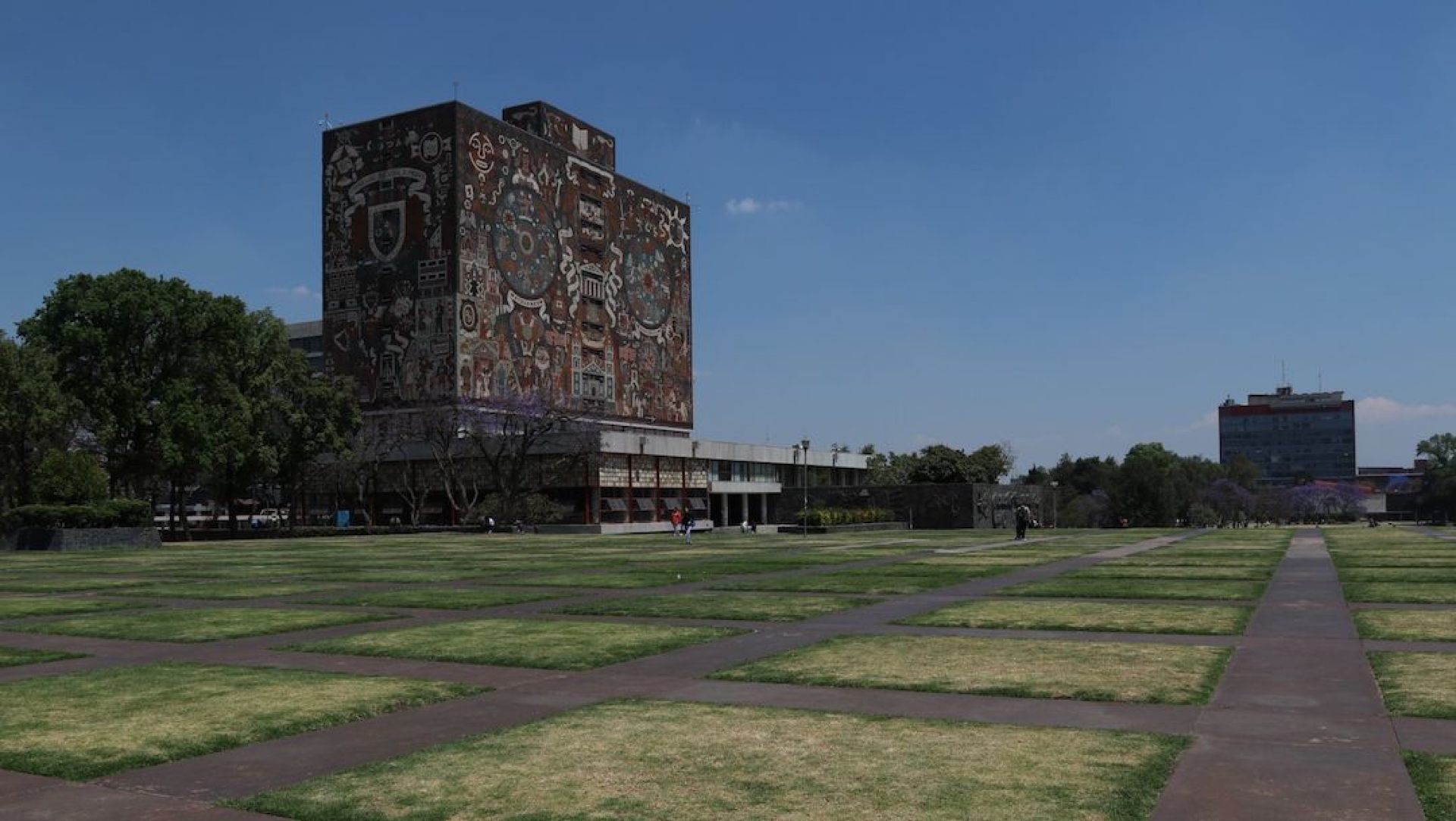 UNAM avanza en desarrollo de vacuna contra COVID-19, van en primera fase