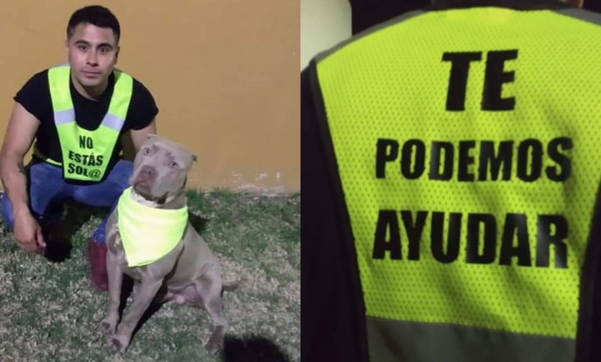 Moreliano convierte paseos con su perro en apoyo para personas que se sientan en peligro