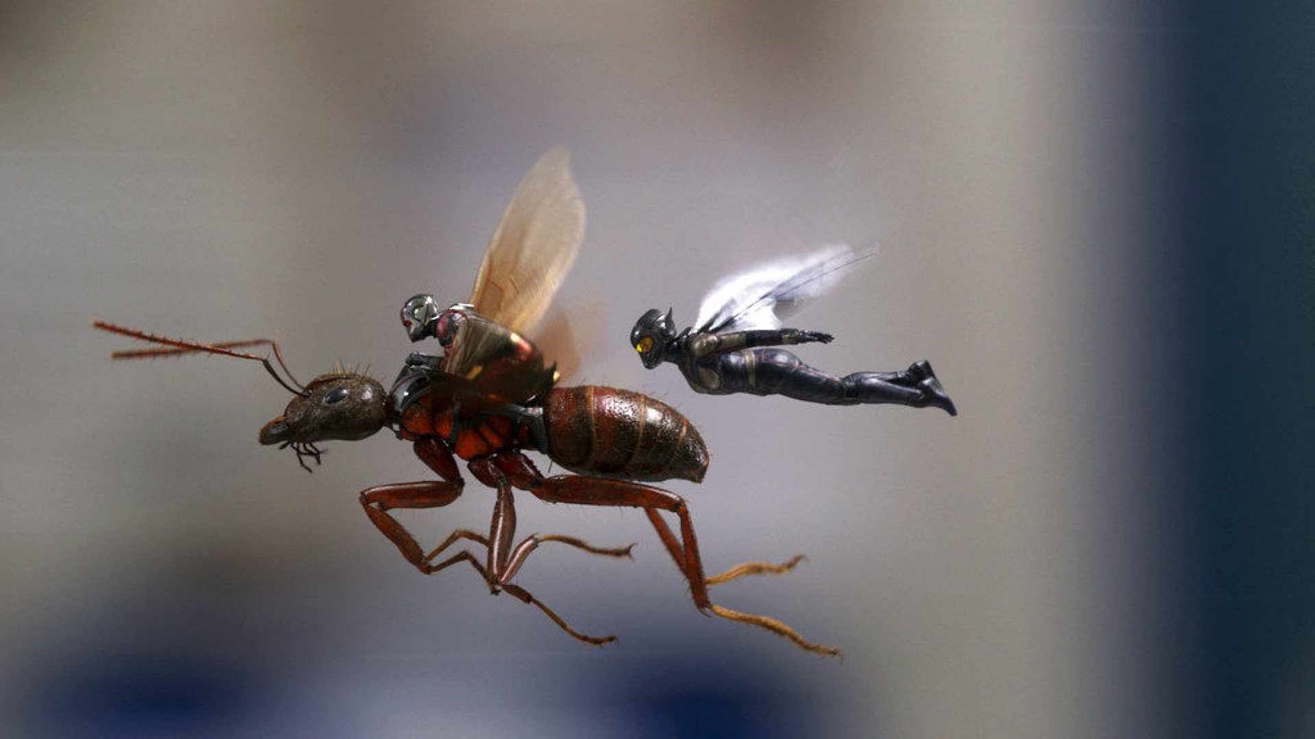 Chiquitos pero picosos; “Ant-Man and the Wasp” se llevan taquilla
