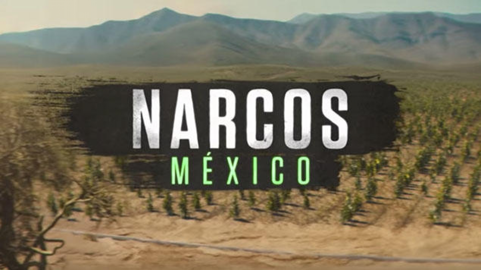 VIDEO: El primer teaser de "Narcos: México" de Netflix