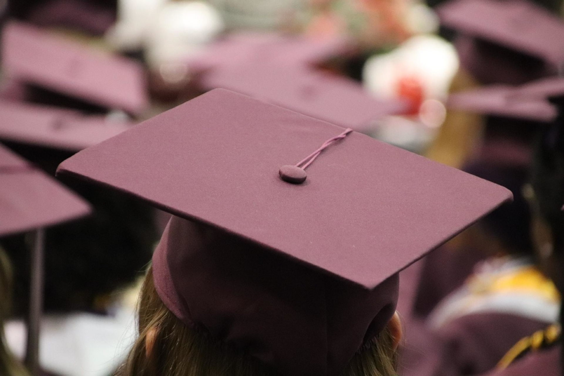 Universidad Google: por 300 dólares y en seis meses obtendrás un certificado