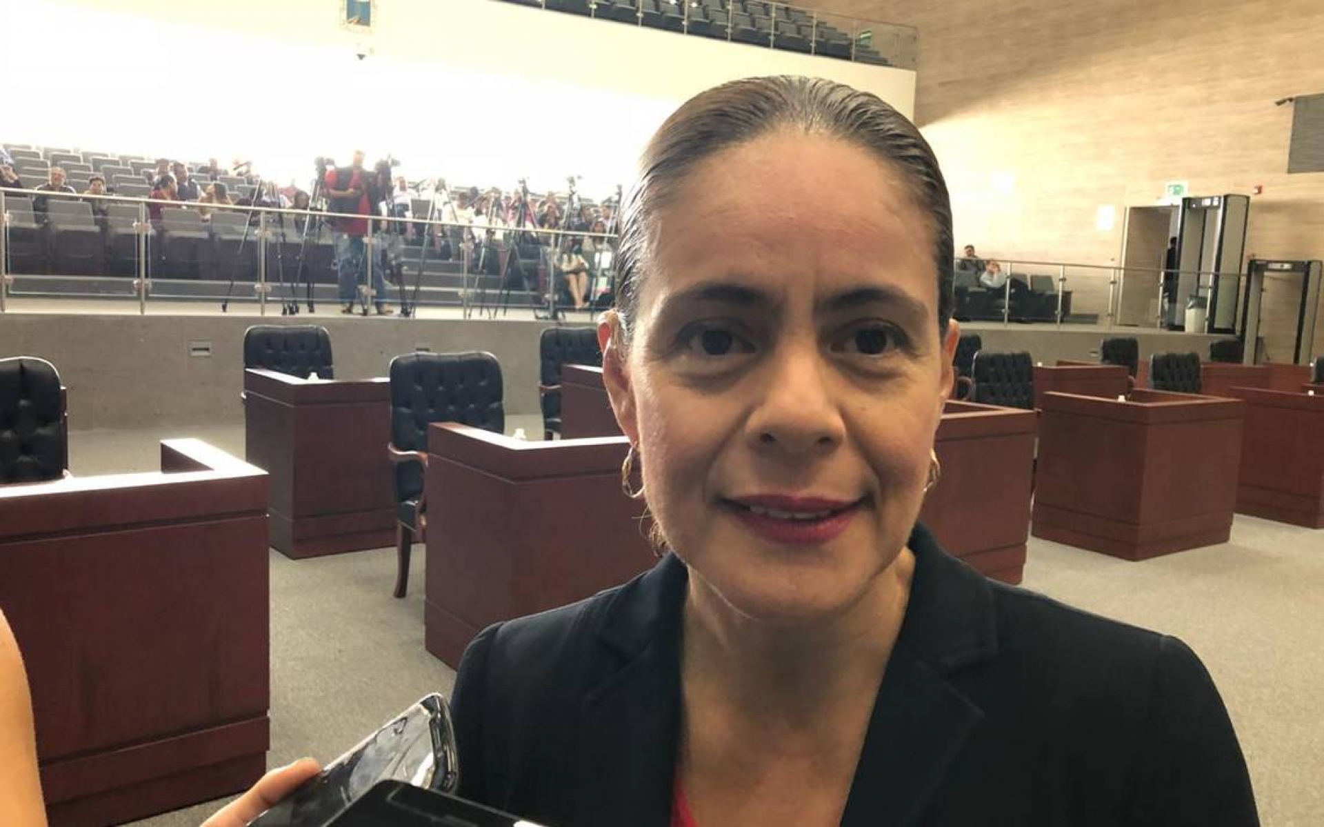 Hay intereses ajenos en designación de titular de ESAF, admite diputada