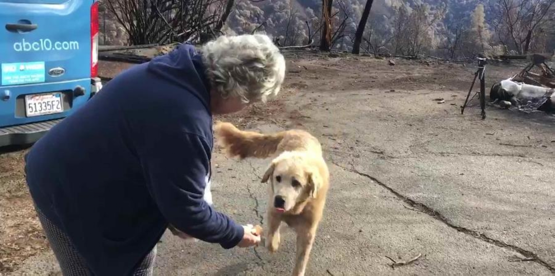 Pareja regresa a su casa incendiada y descubre que su perro nunca se fue
