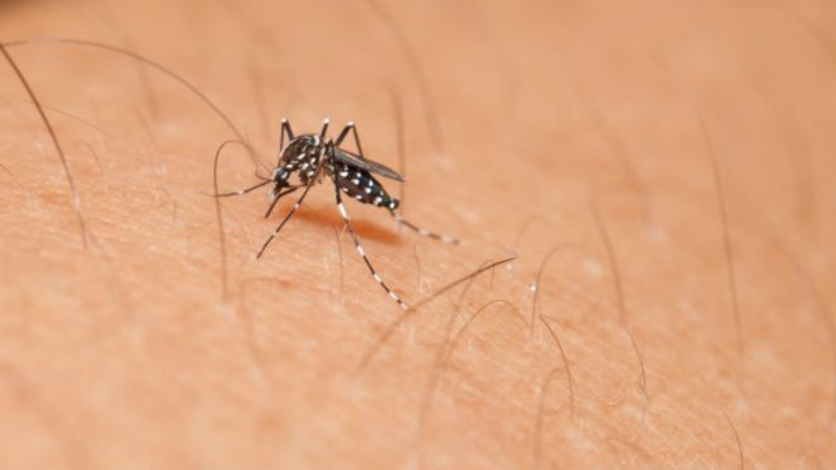 Confirman primeros tres casos de zika en Morelos