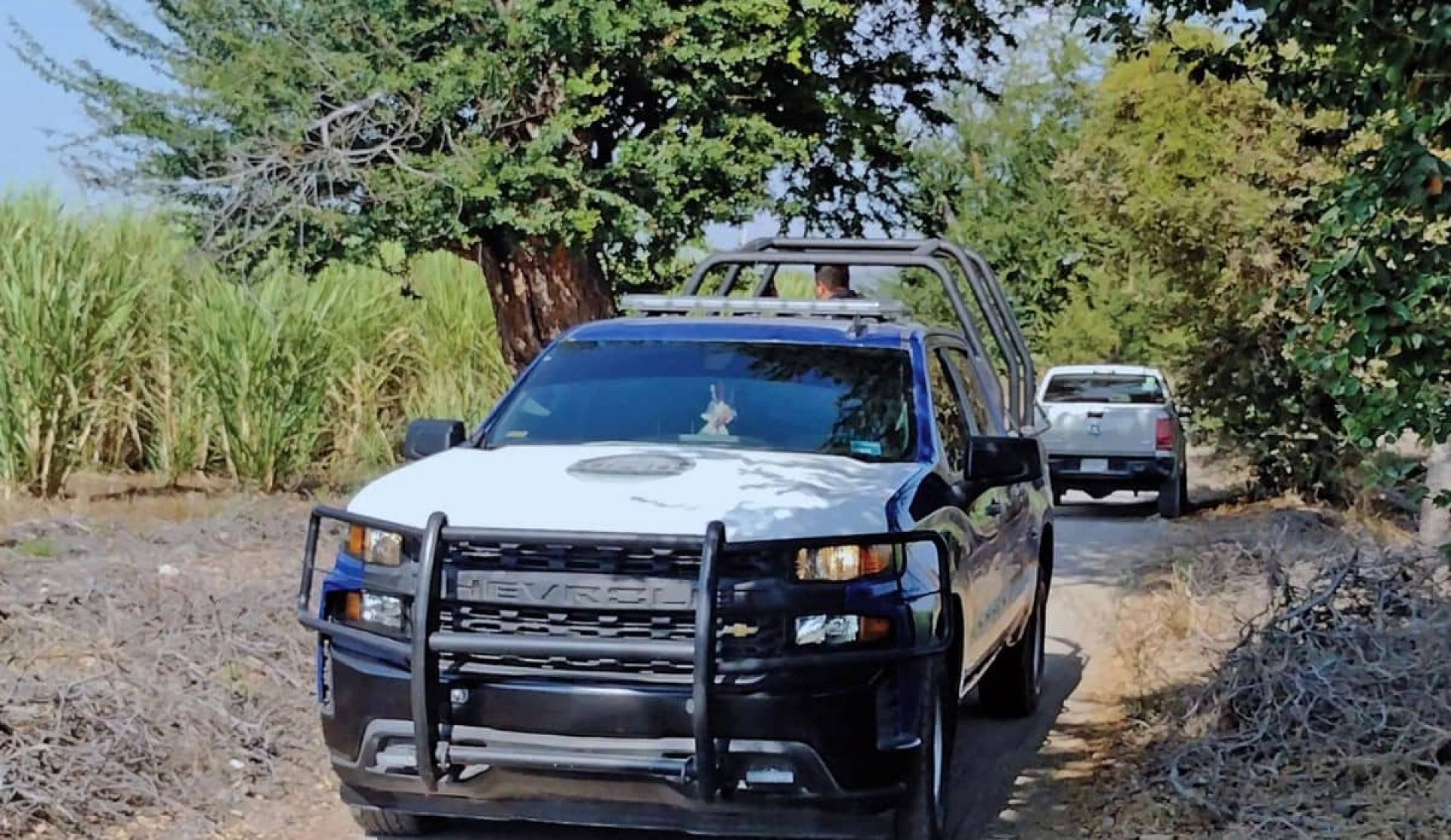 Hallan muerto a un hombre en San Miguel Treinta