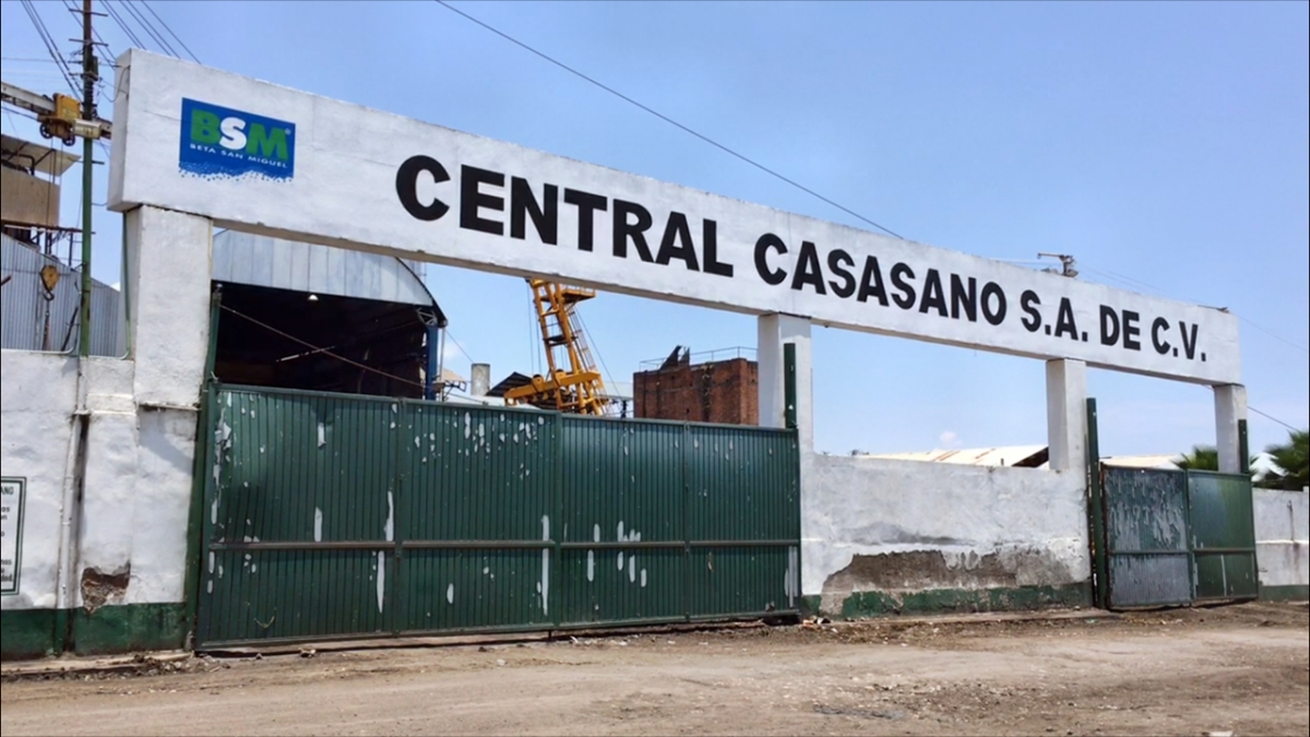 Lluvias impiden cortar la totalidad de la caña en la región oriente
